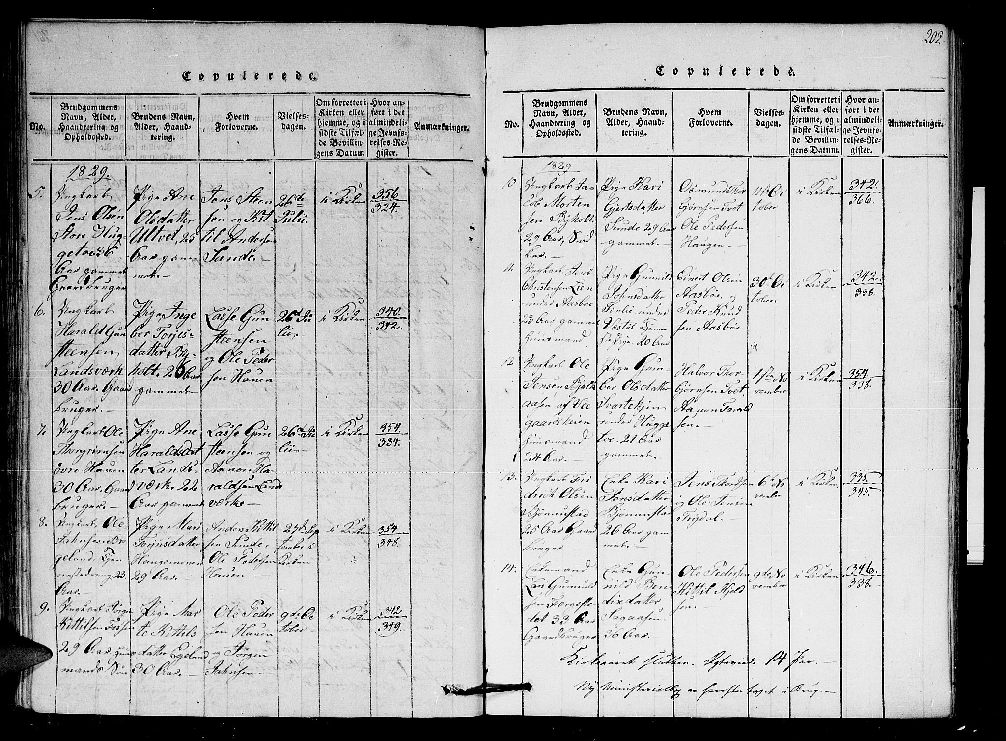 Gjerstad sokneprestkontor, SAK/1111-0014/F/Fa/Faa/L0004: Ministerialbok nr. A 4, 1816-1829, s. 202