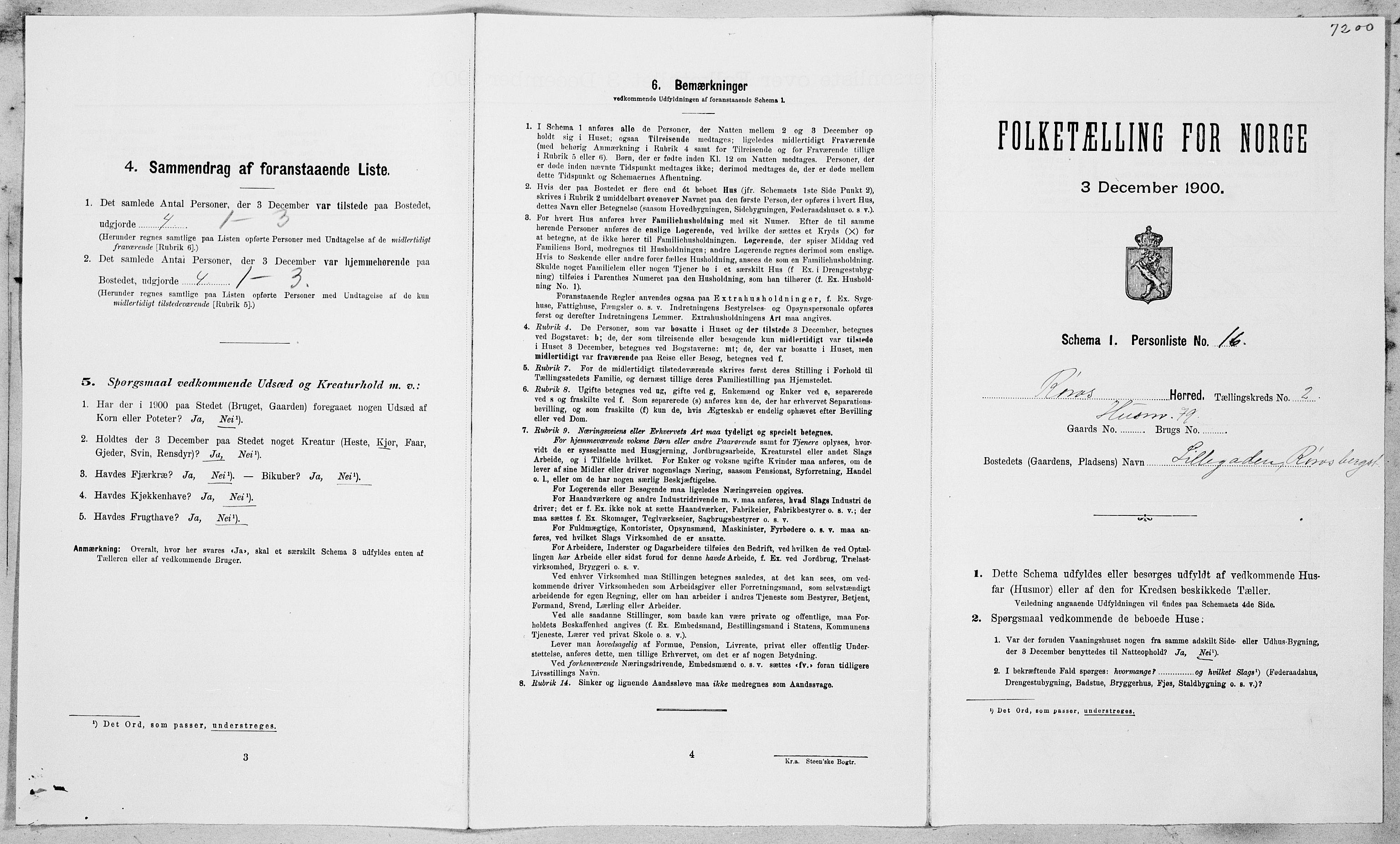 SAT, Folketelling 1900 for 1640 Røros herred, 1900, s. 176