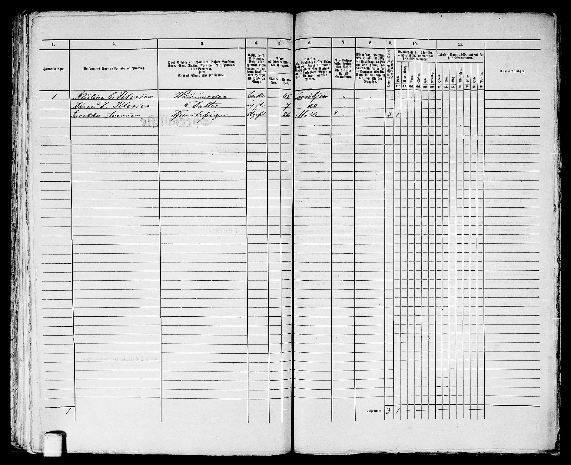 RA, Folketelling 1865 for 1601 Trondheim kjøpstad, 1865, s. 2044