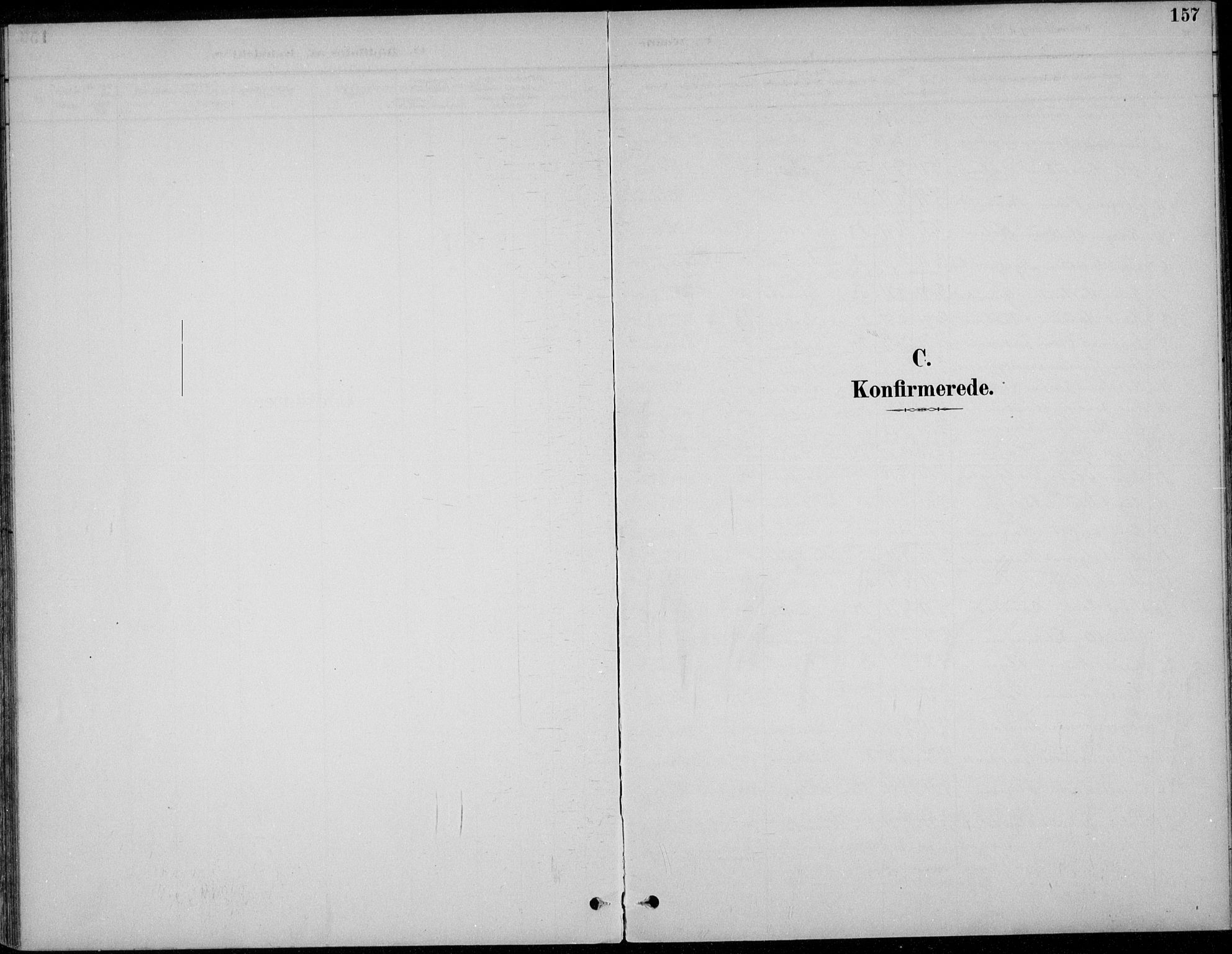 Alvdal prestekontor, SAH/PREST-060/H/Ha/Haa/L0003: Ministerialbok nr. 3, 1886-1912, s. 157