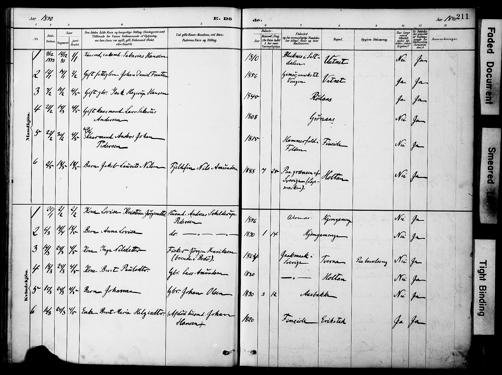 Ministerialprotokoller, klokkerbøker og fødselsregistre - Nordland, AV/SAT-A-1459/849/L0690: Ministerialbok nr. 849A02, 1890-1897, s. 211