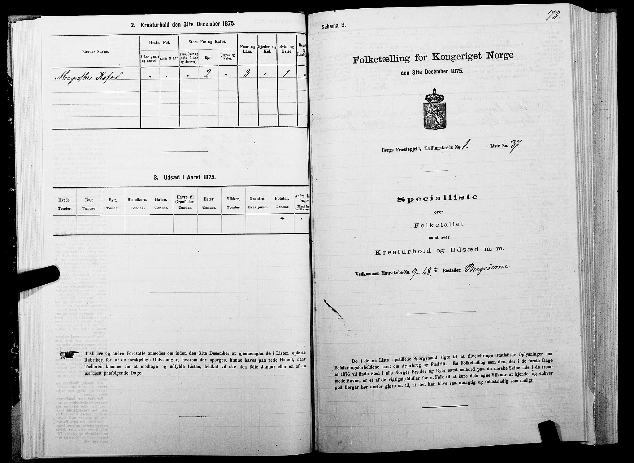 SATØ, Folketelling 1875 for 1929P Berg prestegjeld, 1875, s. 1073