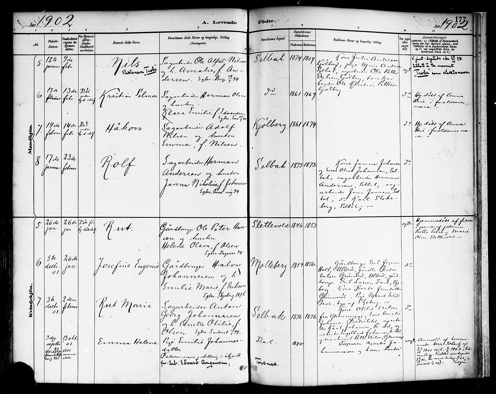 Borge prestekontor Kirkebøker, AV/SAO-A-10903/F/Fa/L0008: Ministerialbok nr. I 8A, 1887-1902, s. 177
