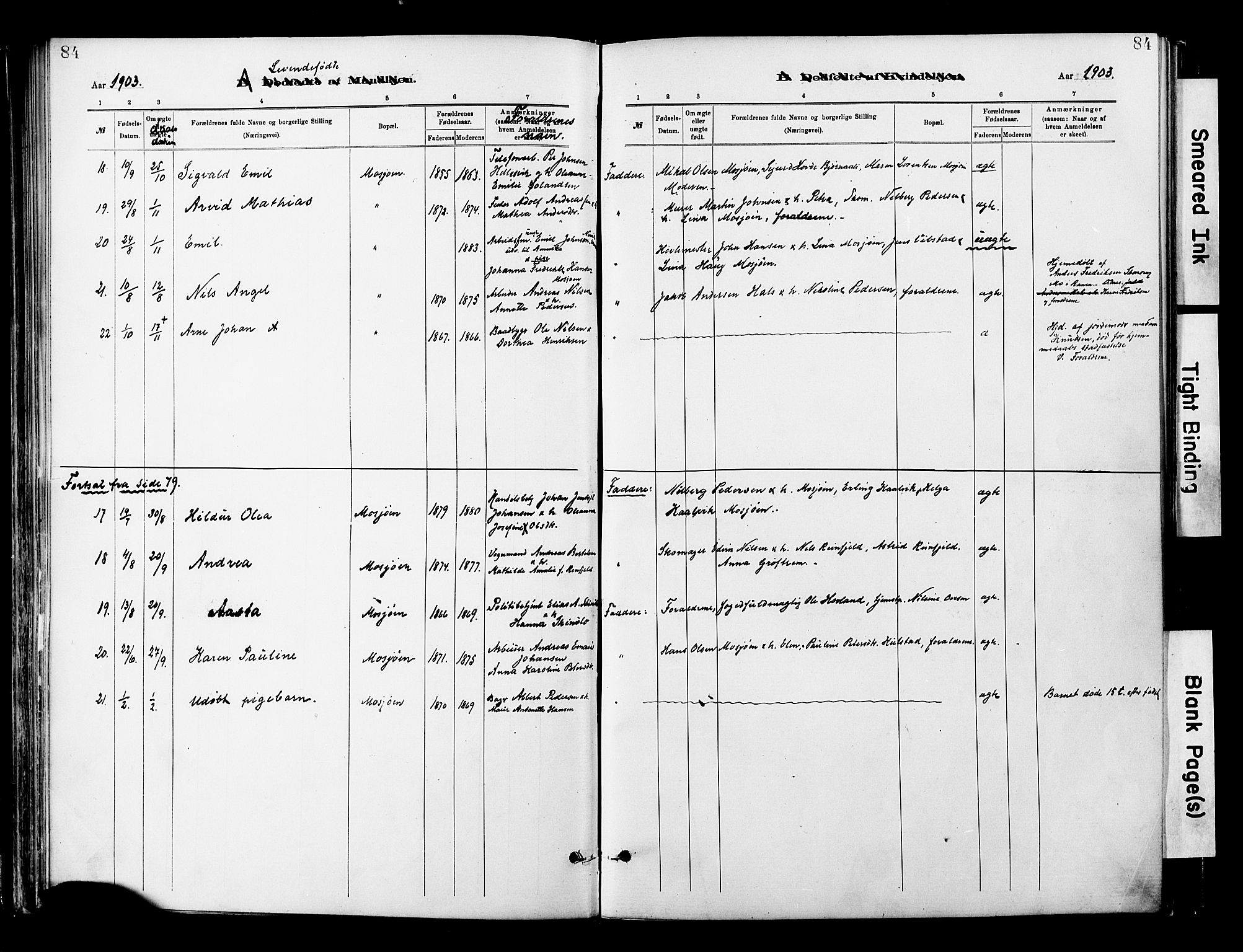Ministerialprotokoller, klokkerbøker og fødselsregistre - Nordland, SAT/A-1459/820/L0296: Ministerialbok nr. 820A17, 1880-1903, s. 84