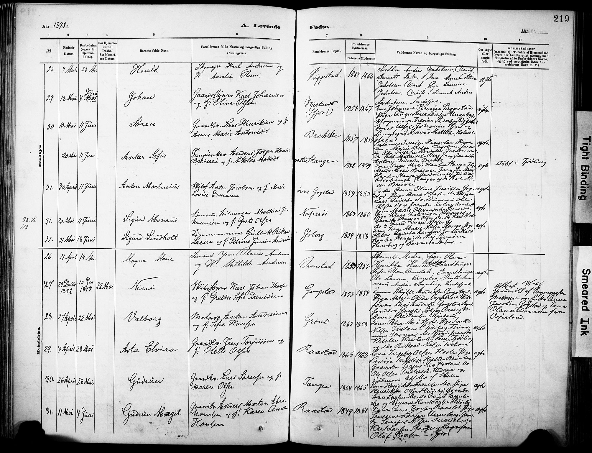 Sandar kirkebøker, AV/SAKO-A-243/F/Fa/L0012: Ministerialbok nr. 12, 1883-1895, s. 219