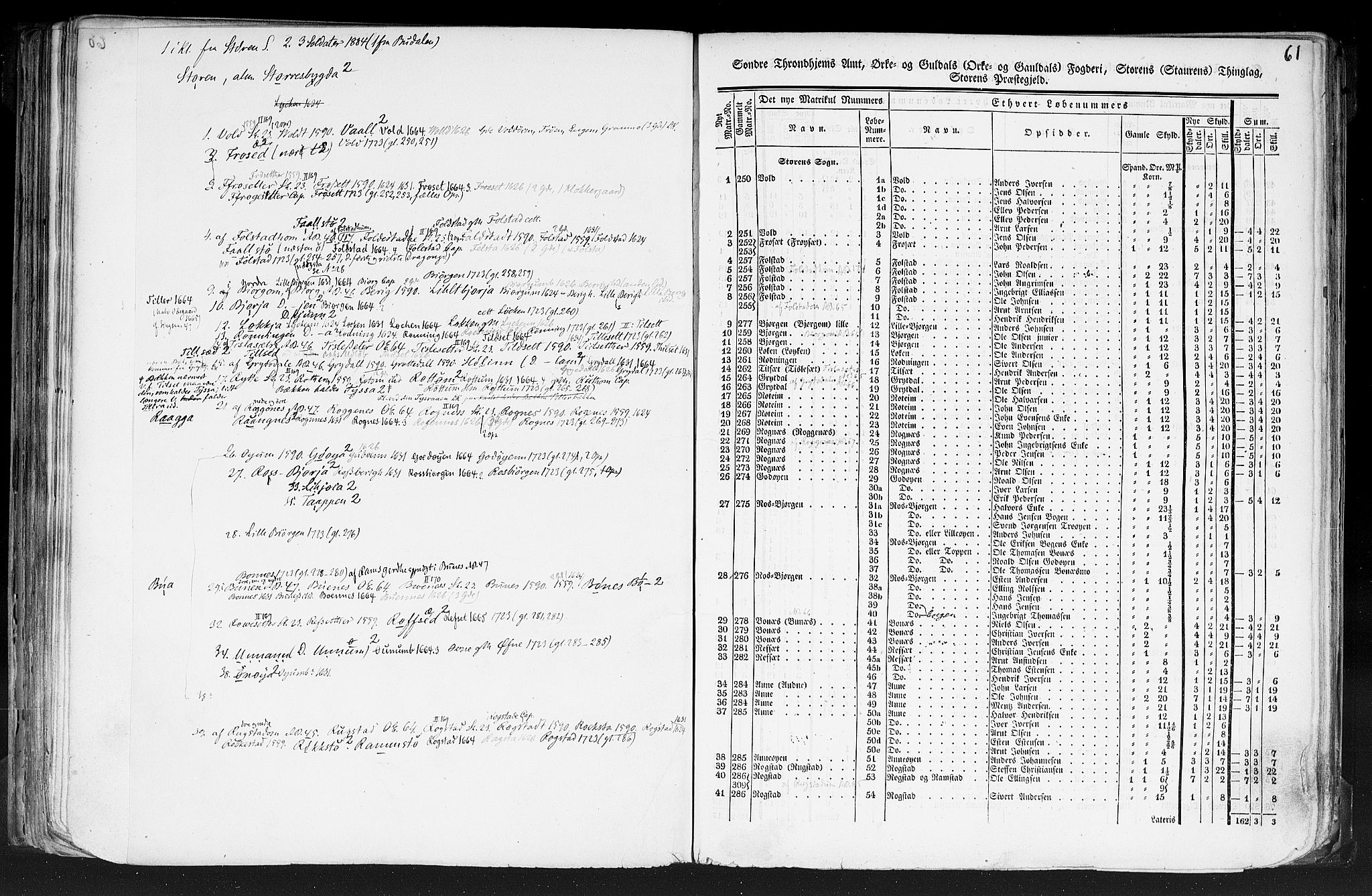 Rygh, AV/RA-PA-0034/F/Fb/L0014: Matrikkelen for 1838 - Søndre Trondhjems amt (Sør-Trøndelag fylke), 1838, s. 61a