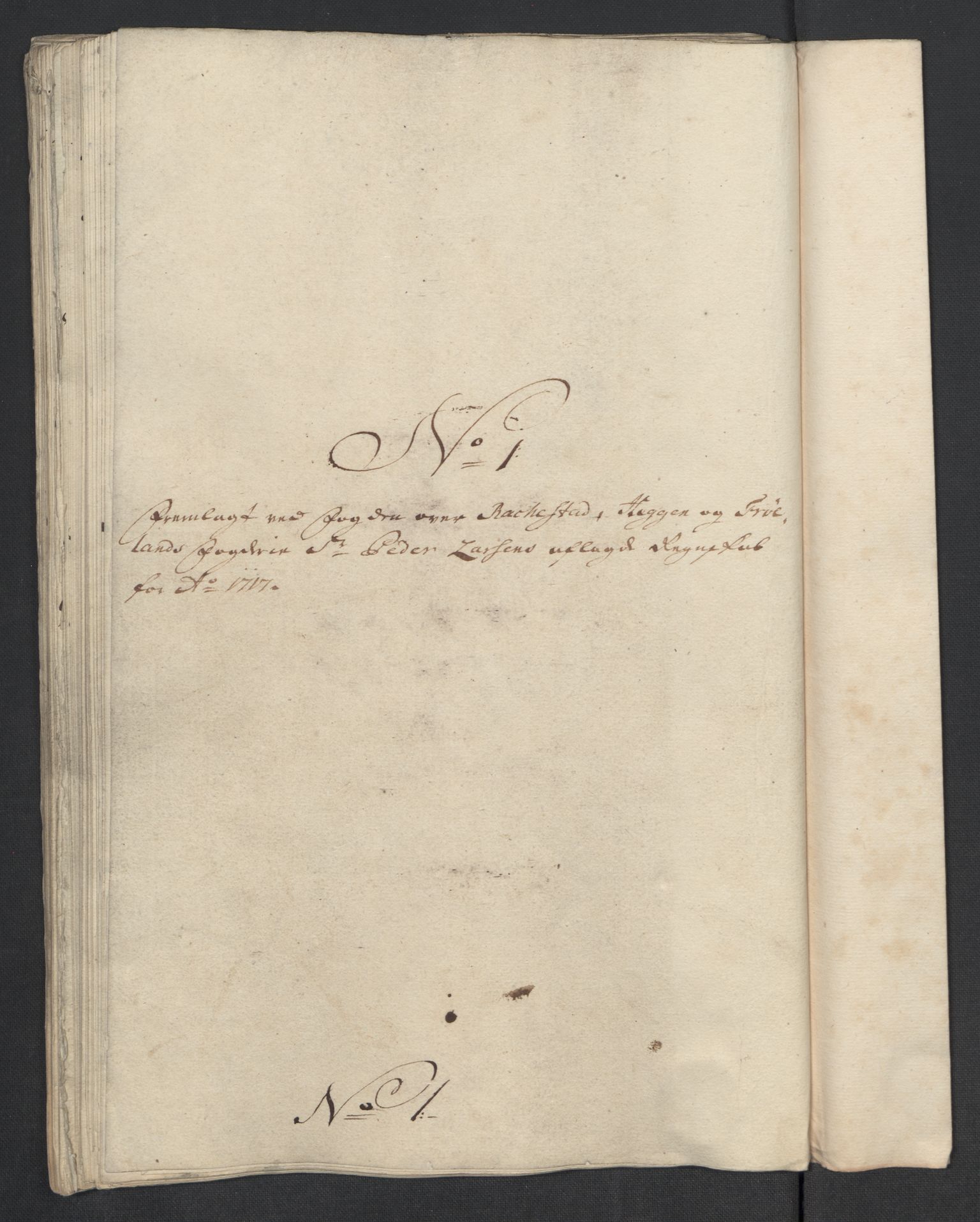 Rentekammeret inntil 1814, Reviderte regnskaper, Fogderegnskap, AV/RA-EA-4092/R07/L0313: Fogderegnskap Rakkestad, Heggen og Frøland, 1717, s. 100