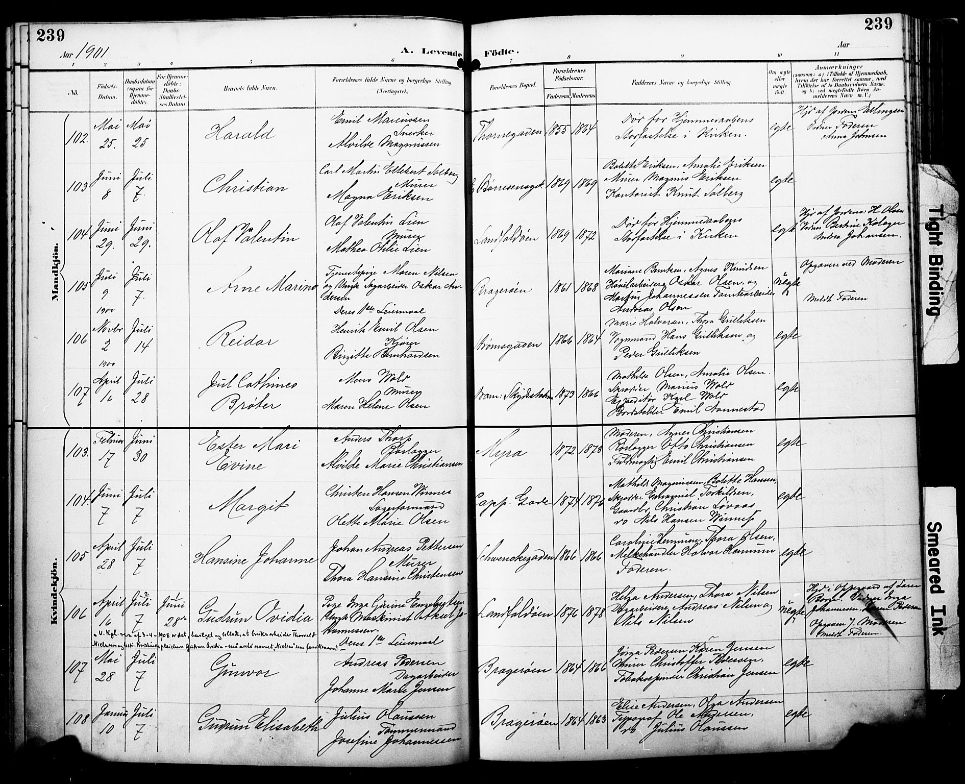 Bragernes kirkebøker, AV/SAKO-A-6/F/Fb/L0008: Ministerialbok nr. II 8, 1894-1902, s. 239