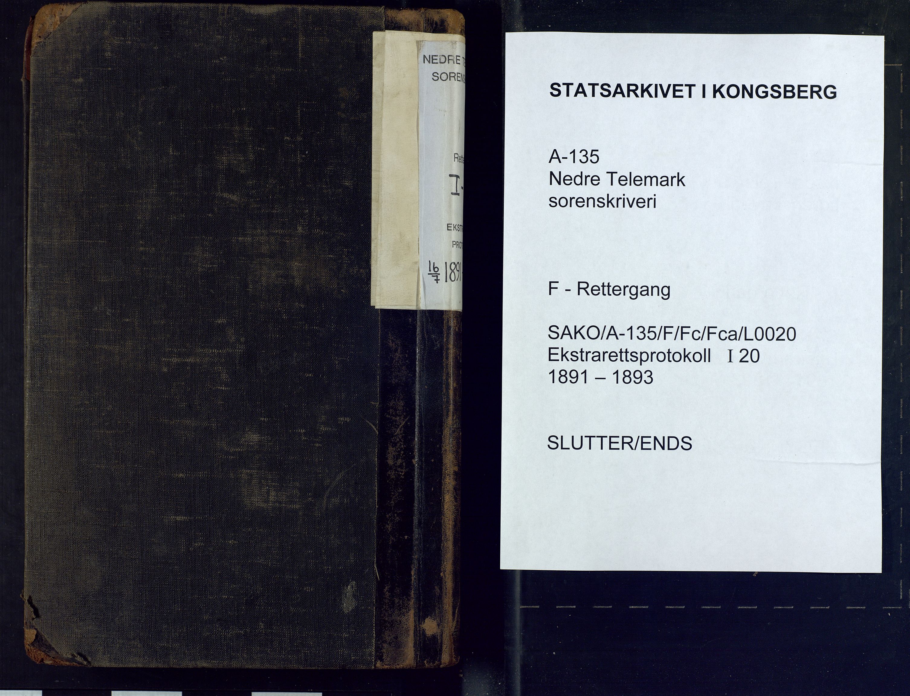 Nedre Telemark sorenskriveri, AV/SAKO-A-135/F/Fc/Fca/L0020: Ekstrarettsprotokoll, 1891-1893
