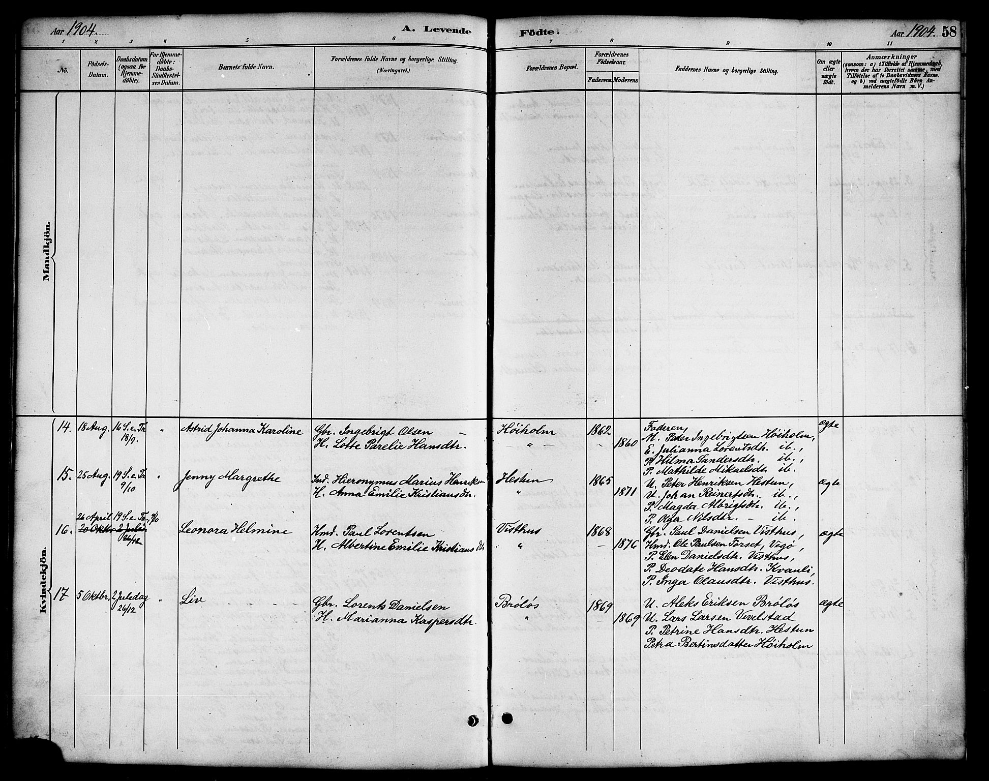 Ministerialprotokoller, klokkerbøker og fødselsregistre - Nordland, SAT/A-1459/819/L0277: Klokkerbok nr. 819C03, 1888-1917, s. 58