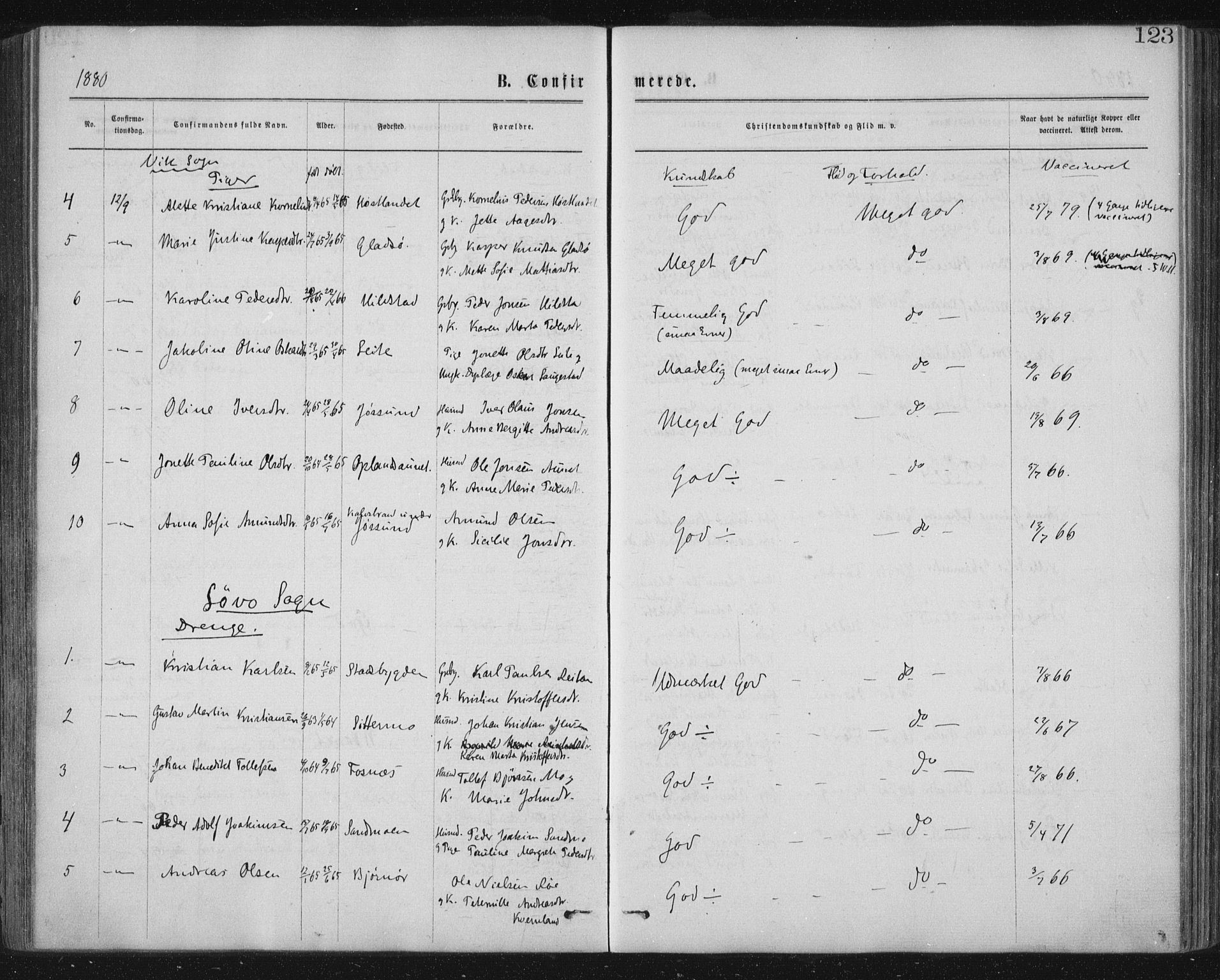 Ministerialprotokoller, klokkerbøker og fødselsregistre - Nord-Trøndelag, SAT/A-1458/771/L0596: Ministerialbok nr. 771A03, 1870-1884, s. 123