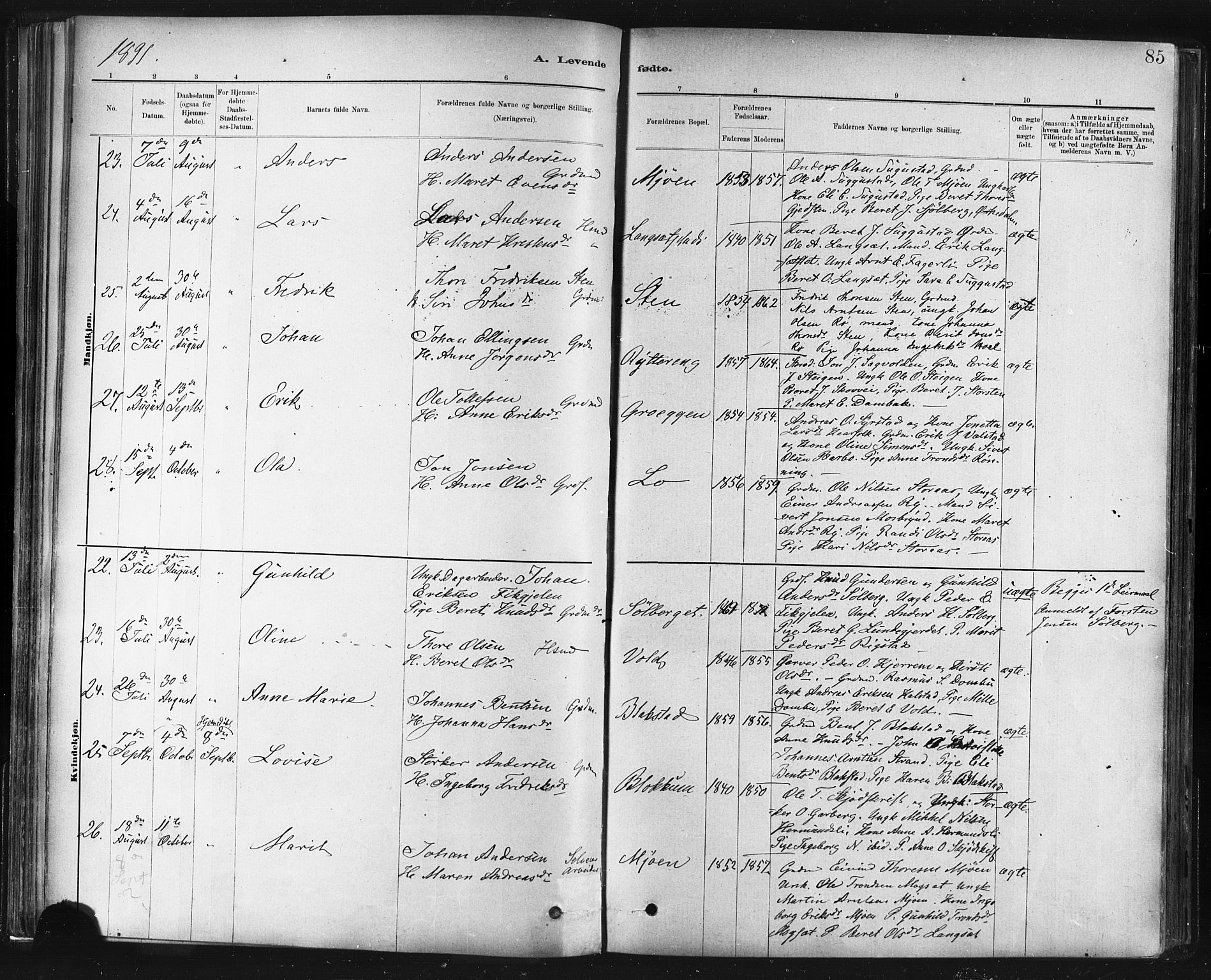 Ministerialprotokoller, klokkerbøker og fødselsregistre - Sør-Trøndelag, SAT/A-1456/672/L0857: Ministerialbok nr. 672A09, 1882-1893, s. 85