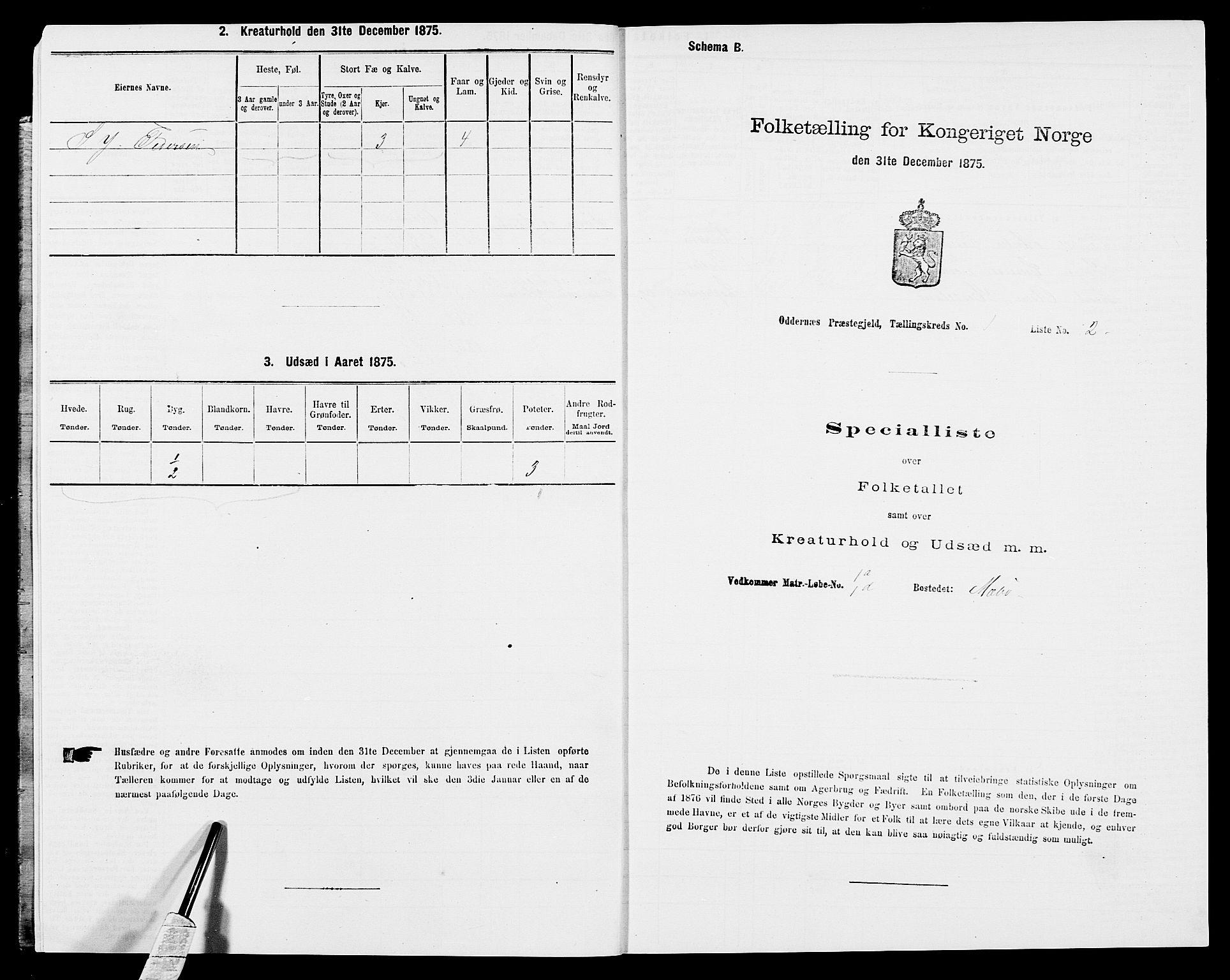 SAK, Folketelling 1875 for 1012P Oddernes prestegjeld, 1875, s. 60