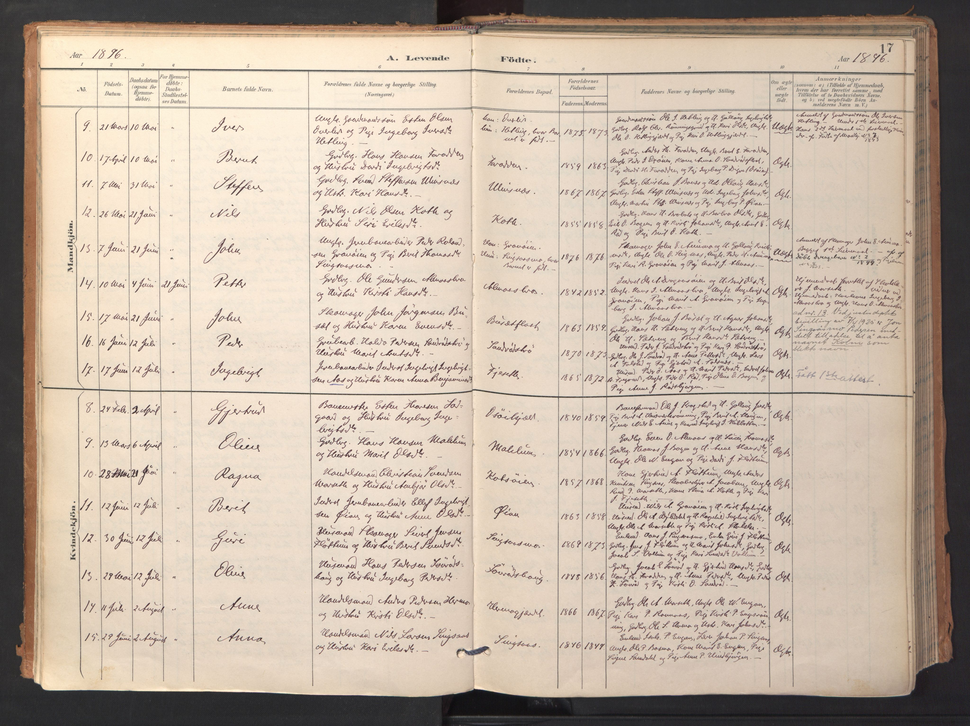 Ministerialprotokoller, klokkerbøker og fødselsregistre - Sør-Trøndelag, AV/SAT-A-1456/688/L1025: Ministerialbok nr. 688A02, 1891-1909, s. 17