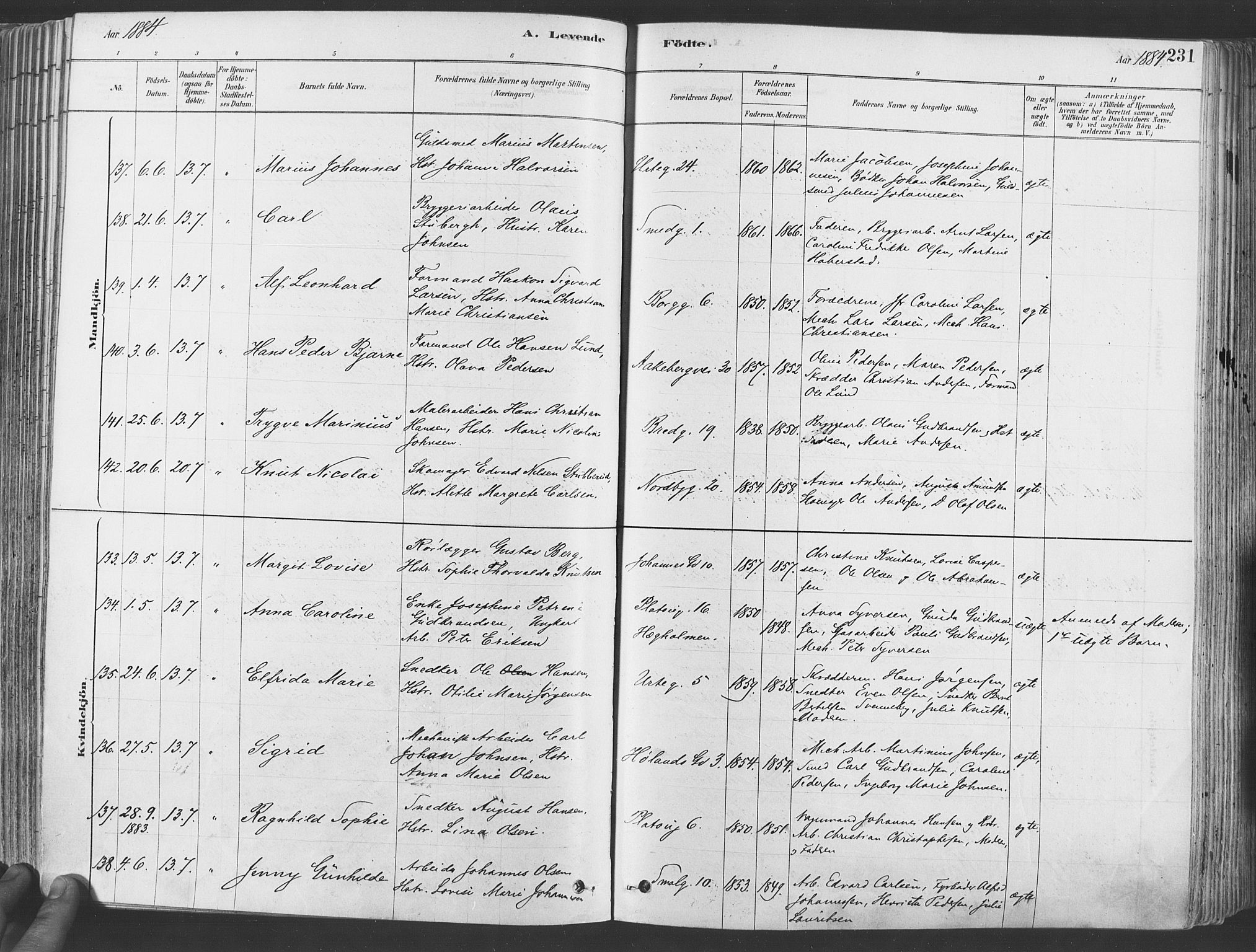 Grønland prestekontor Kirkebøker, SAO/A-10848/F/Fa/L0007: Ministerialbok nr. 7, 1878-1888, s. 231