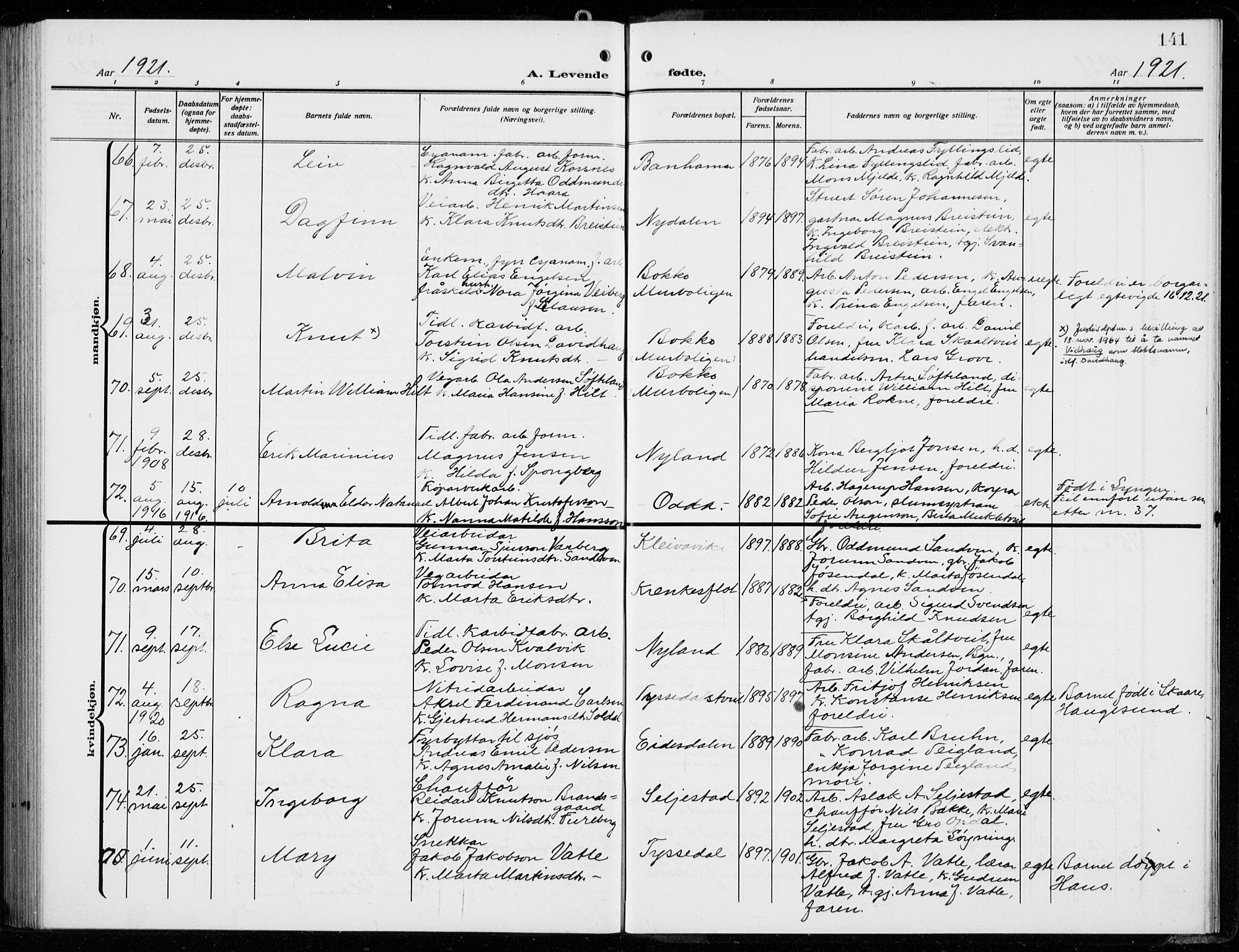 Odda Sokneprestembete, AV/SAB-A-77201/H/Hab: Klokkerbok nr. B  2, 1910-1923, s. 141