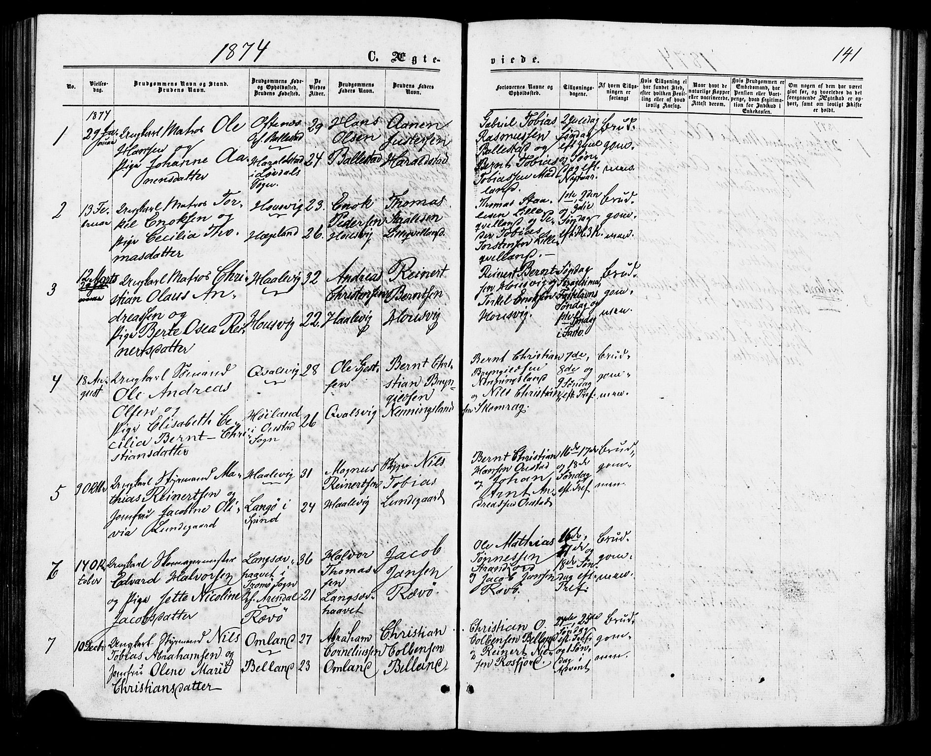 Lyngdal sokneprestkontor, AV/SAK-1111-0029/F/Fa/Faa/L0003: Ministerialbok nr. A 3, 1871-1882, s. 141