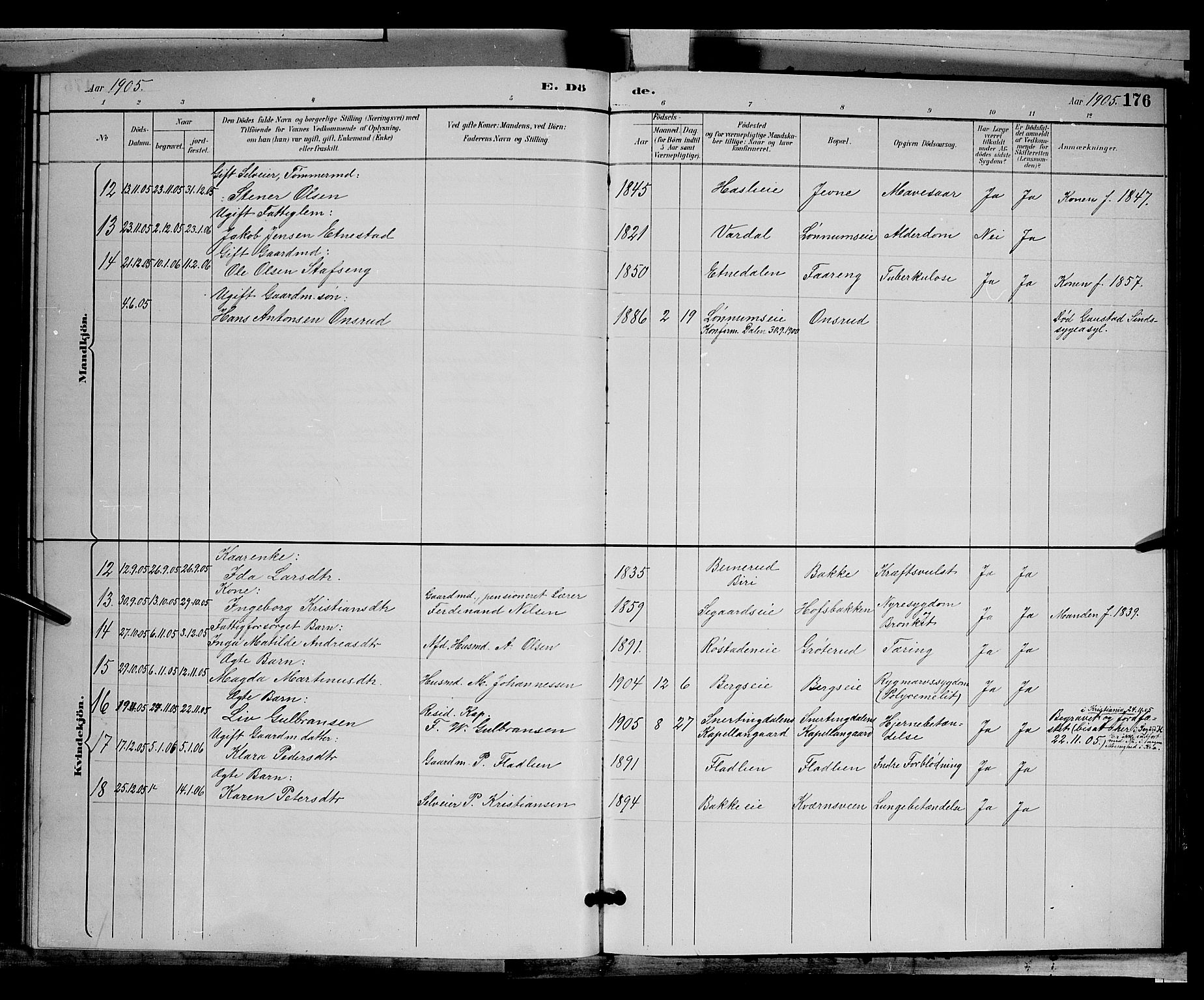 Biri prestekontor, AV/SAH-PREST-096/H/Ha/Hab/L0003: Klokkerbok nr. 3, 1892-1905, s. 176