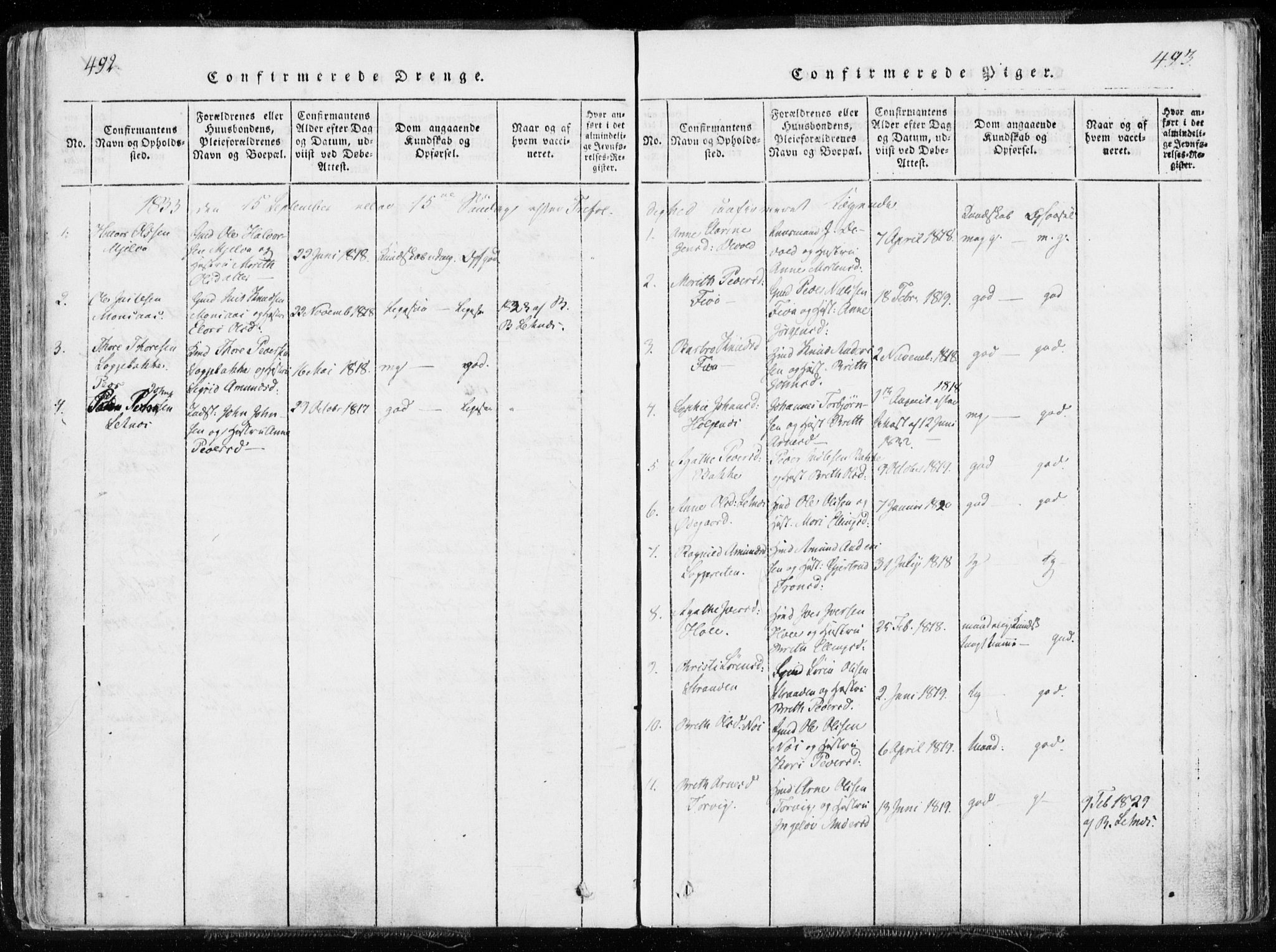 Ministerialprotokoller, klokkerbøker og fødselsregistre - Møre og Romsdal, AV/SAT-A-1454/544/L0571: Ministerialbok nr. 544A04, 1818-1853, s. 492-493