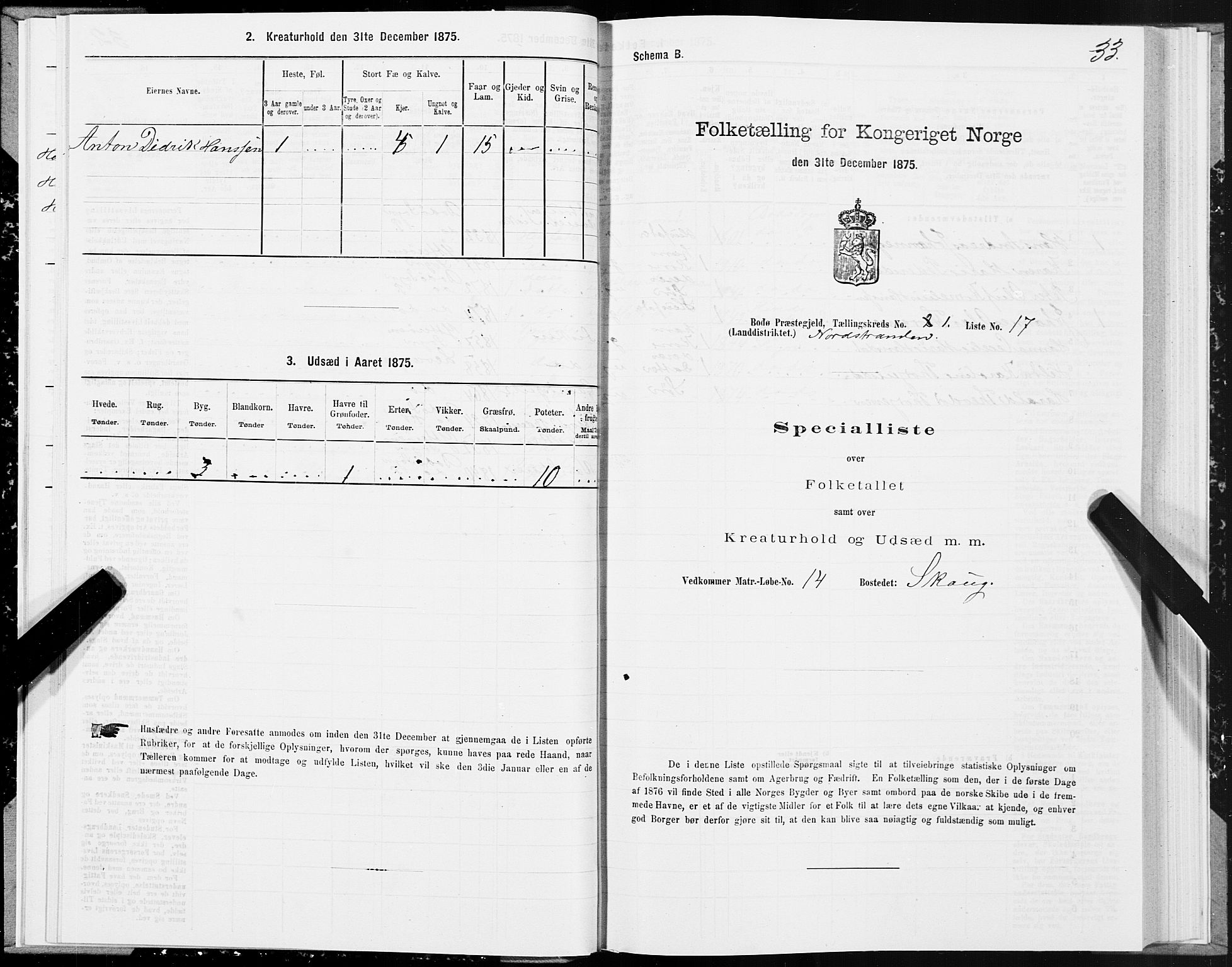 SAT, Folketelling 1875 for 1843L Bodø prestegjeld, Bodø landsokn, 1875, s. 1033