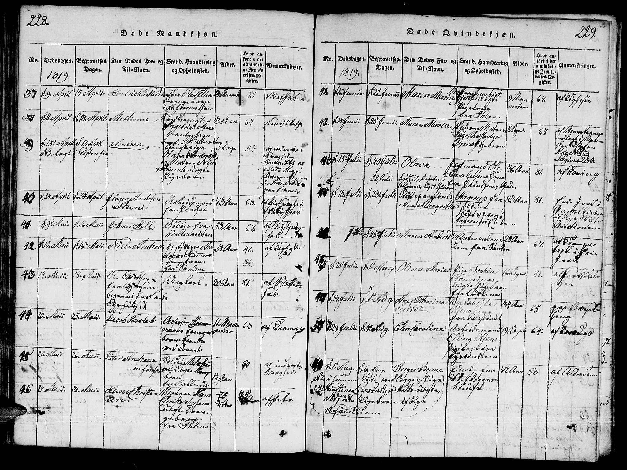 Ministerialprotokoller, klokkerbøker og fødselsregistre - Sør-Trøndelag, AV/SAT-A-1456/601/L0043: Ministerialbok nr. 601A11, 1815-1821, s. 228-229