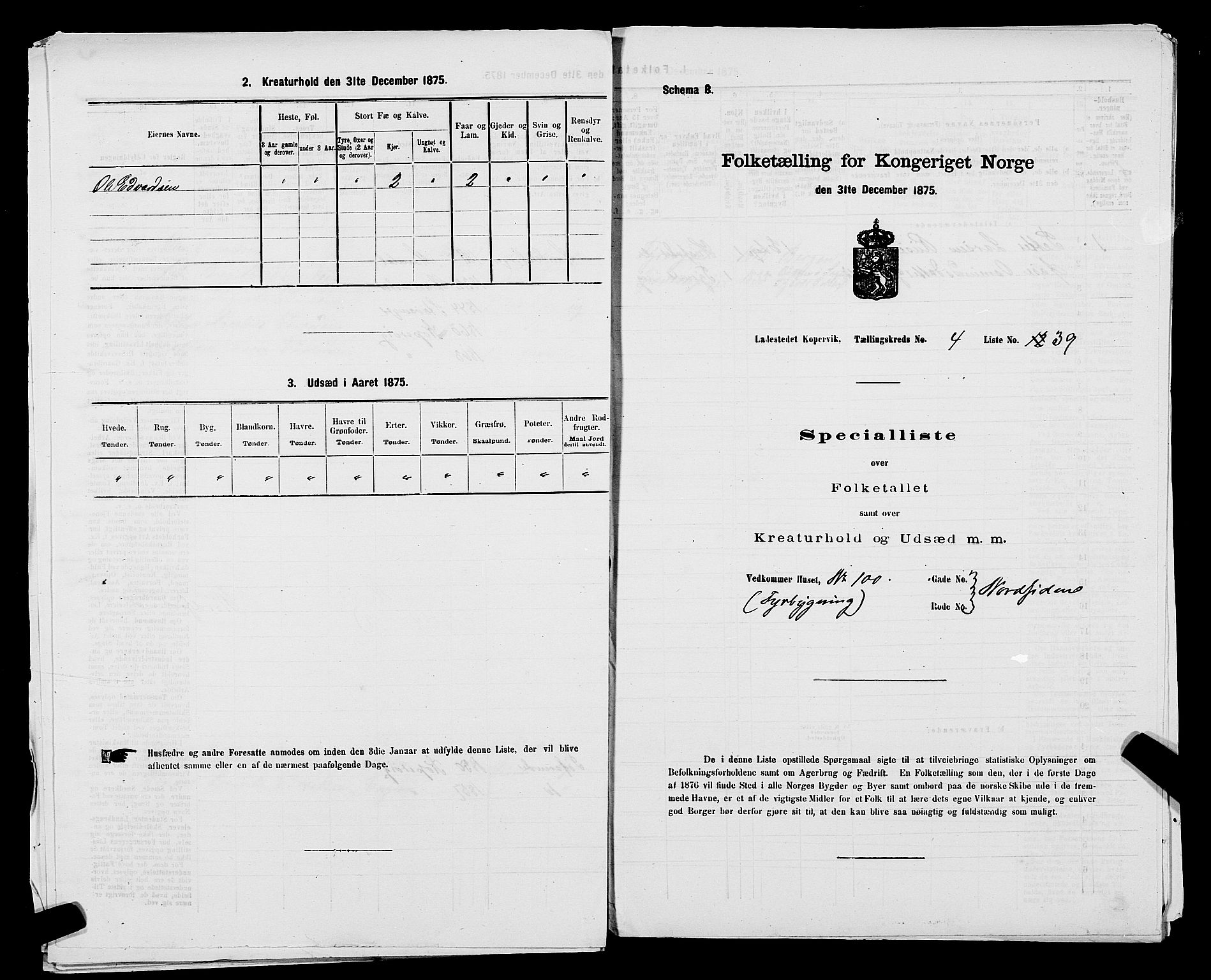 SAST, Folketelling 1875 for 1105B Avaldsnes prestegjeld, Kopervik ladested, 1875, s. 76