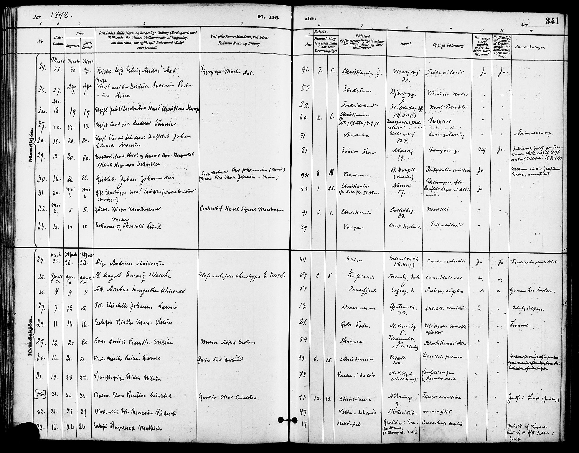 Gamle Aker prestekontor Kirkebøker, AV/SAO-A-10617a/F/L0008: Ministerialbok nr. 8, 1887-1896, s. 341