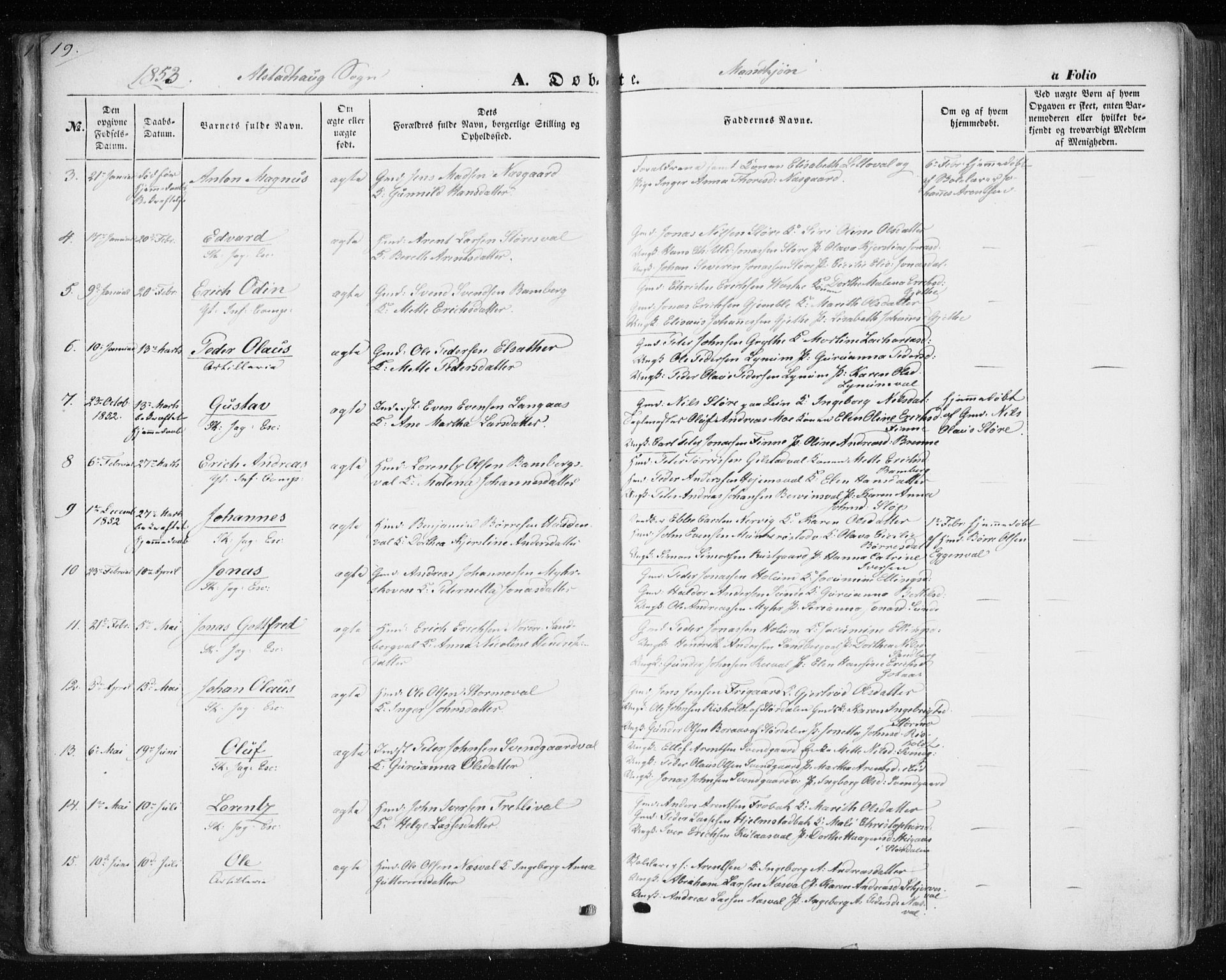 Ministerialprotokoller, klokkerbøker og fødselsregistre - Nord-Trøndelag, SAT/A-1458/717/L0154: Ministerialbok nr. 717A07 /1, 1850-1862, s. 19