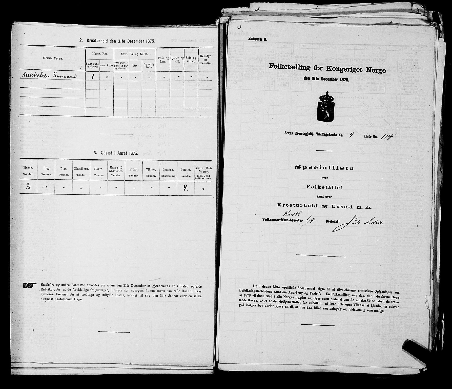 RA, Folketelling 1875 for 0116P Berg prestegjeld, 1875, s. 523