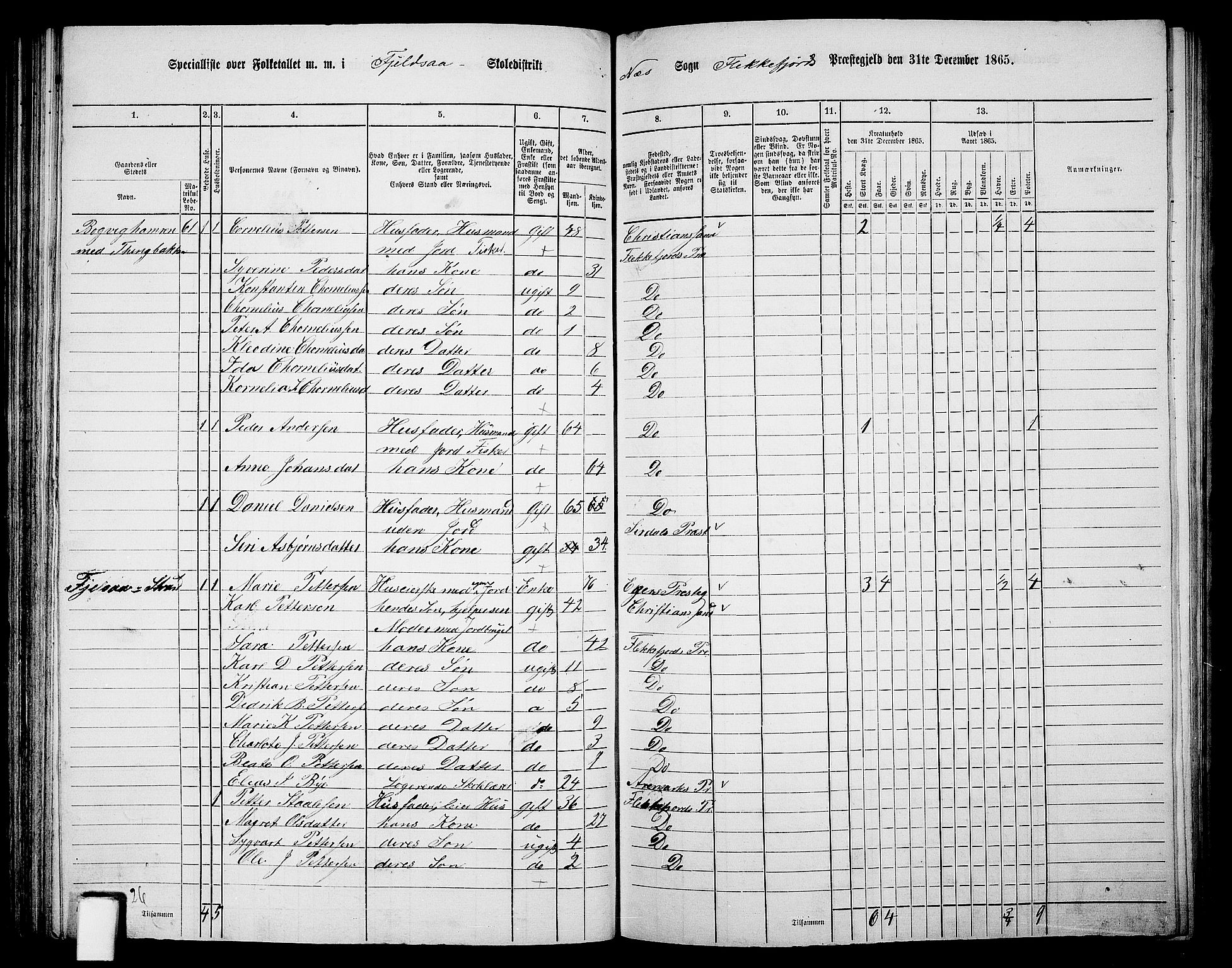 RA, Folketelling 1865 for 1042L Flekkefjord prestegjeld, Nes sokn og Hidra sokn, 1865, s. 91