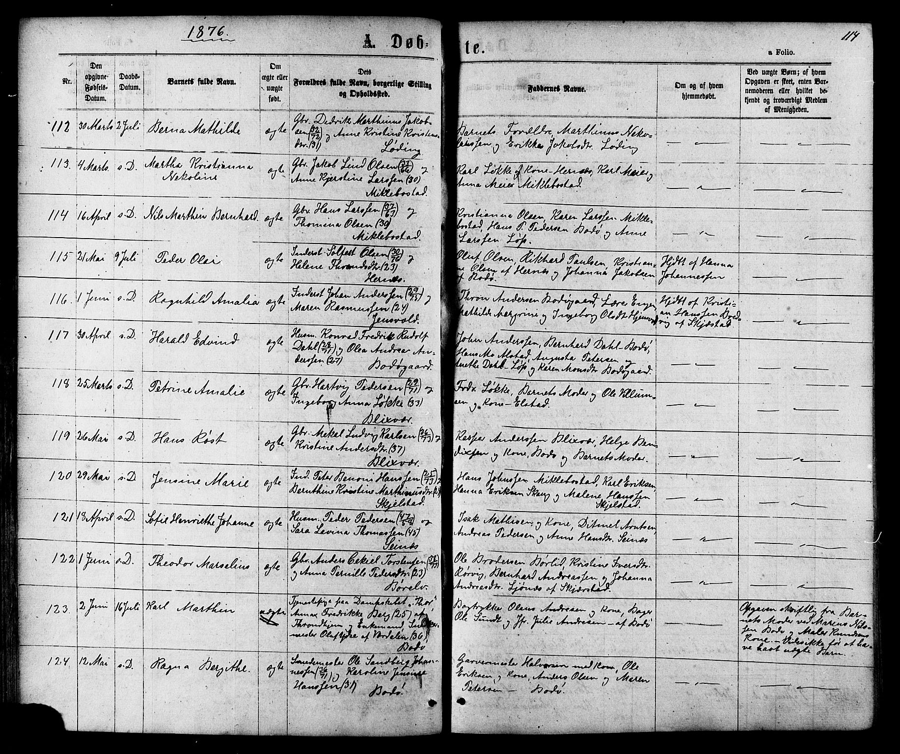 Ministerialprotokoller, klokkerbøker og fødselsregistre - Nordland, AV/SAT-A-1459/801/L0029: Klokkerbok nr. 801C04, 1868-1878, s. 114