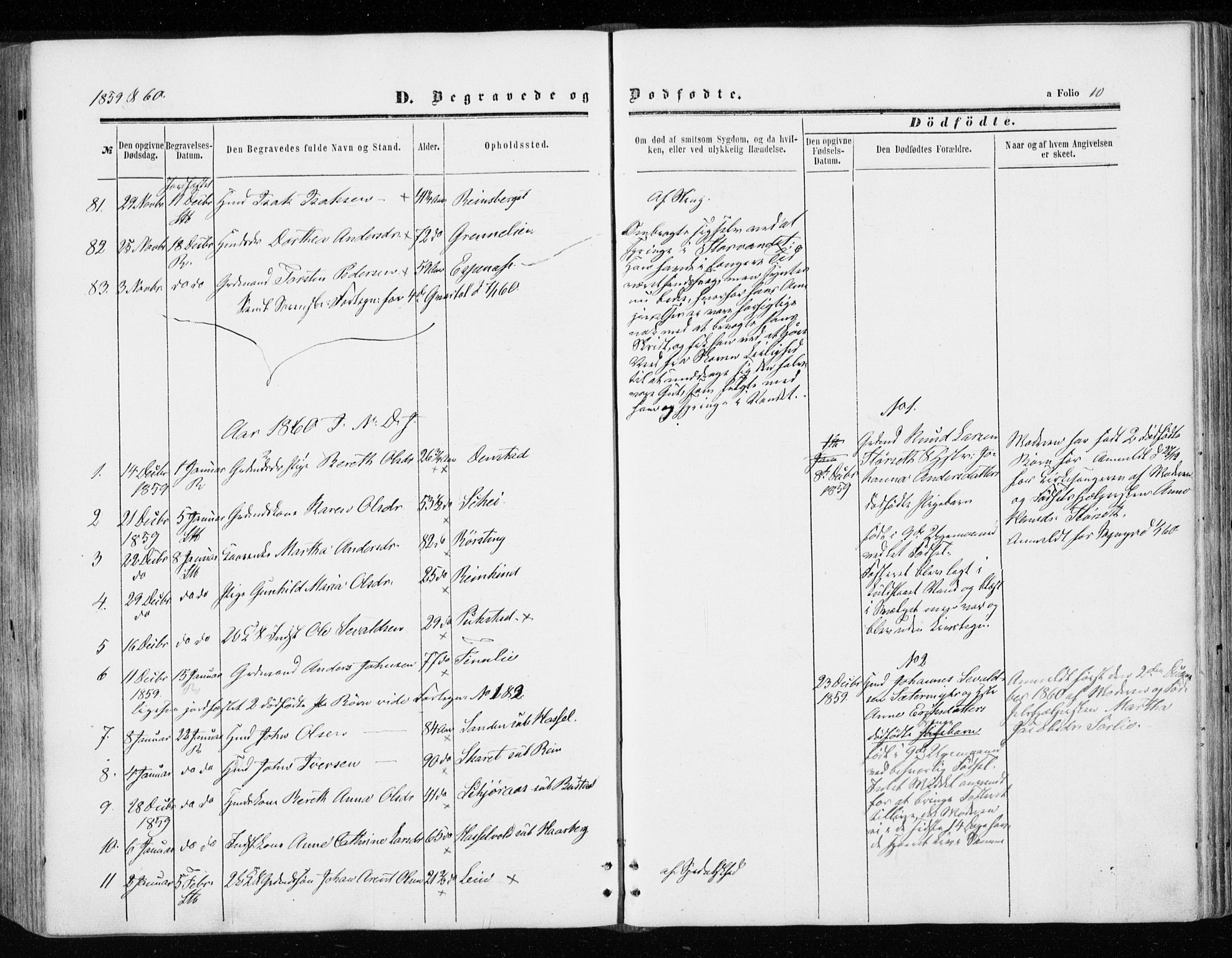 Ministerialprotokoller, klokkerbøker og fødselsregistre - Sør-Trøndelag, SAT/A-1456/646/L0612: Ministerialbok nr. 646A10, 1858-1869, s. 10