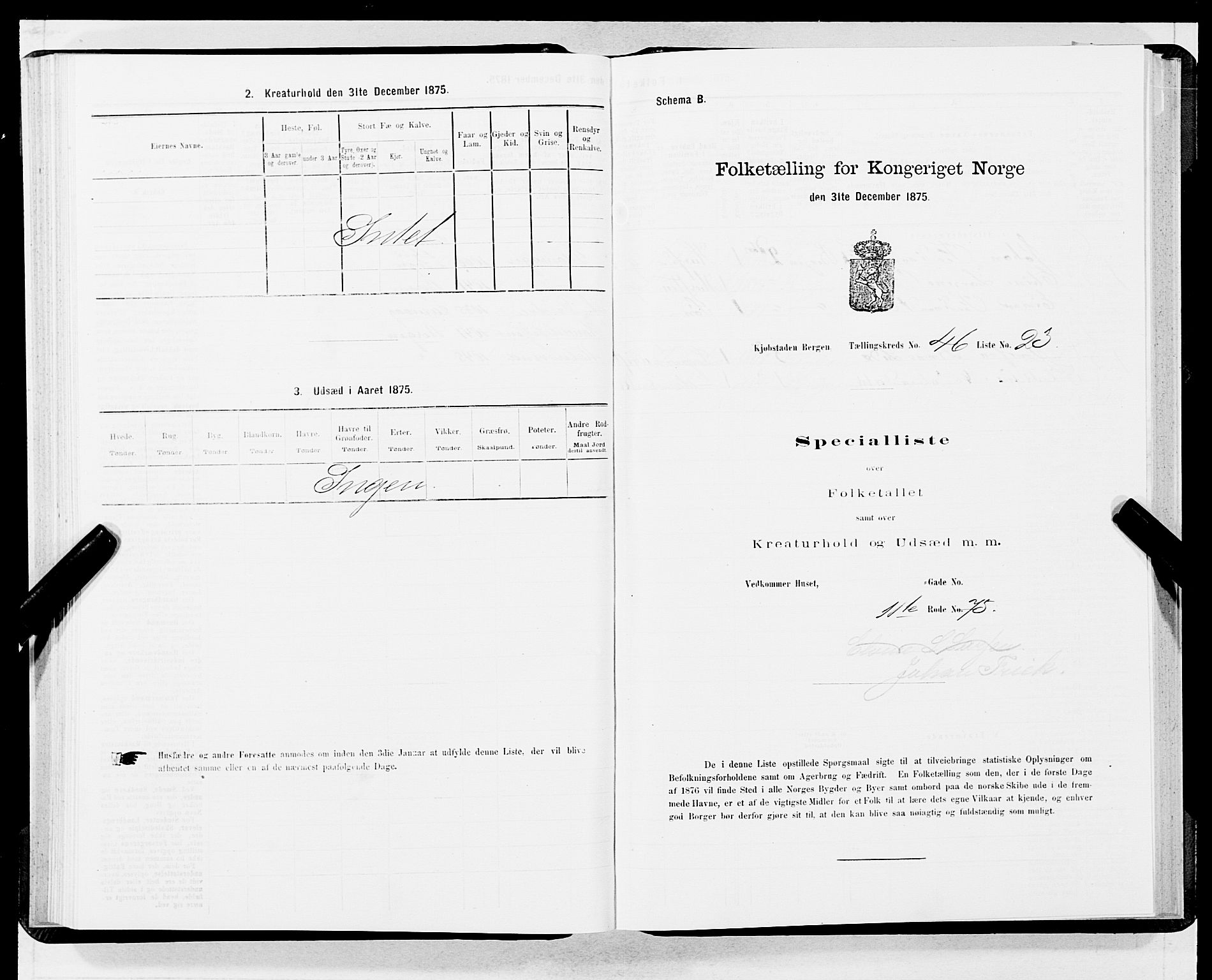 SAB, Folketelling 1875 for 1301 Bergen kjøpstad, 1875, s. 2429