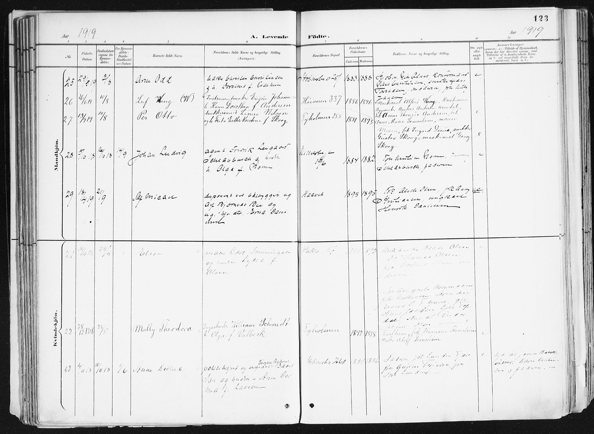 Arendal sokneprestkontor, Trefoldighet, AV/SAK-1111-0040/F/Fa/L0010: Ministerialbok nr. A 10, 1900-1919, s. 123