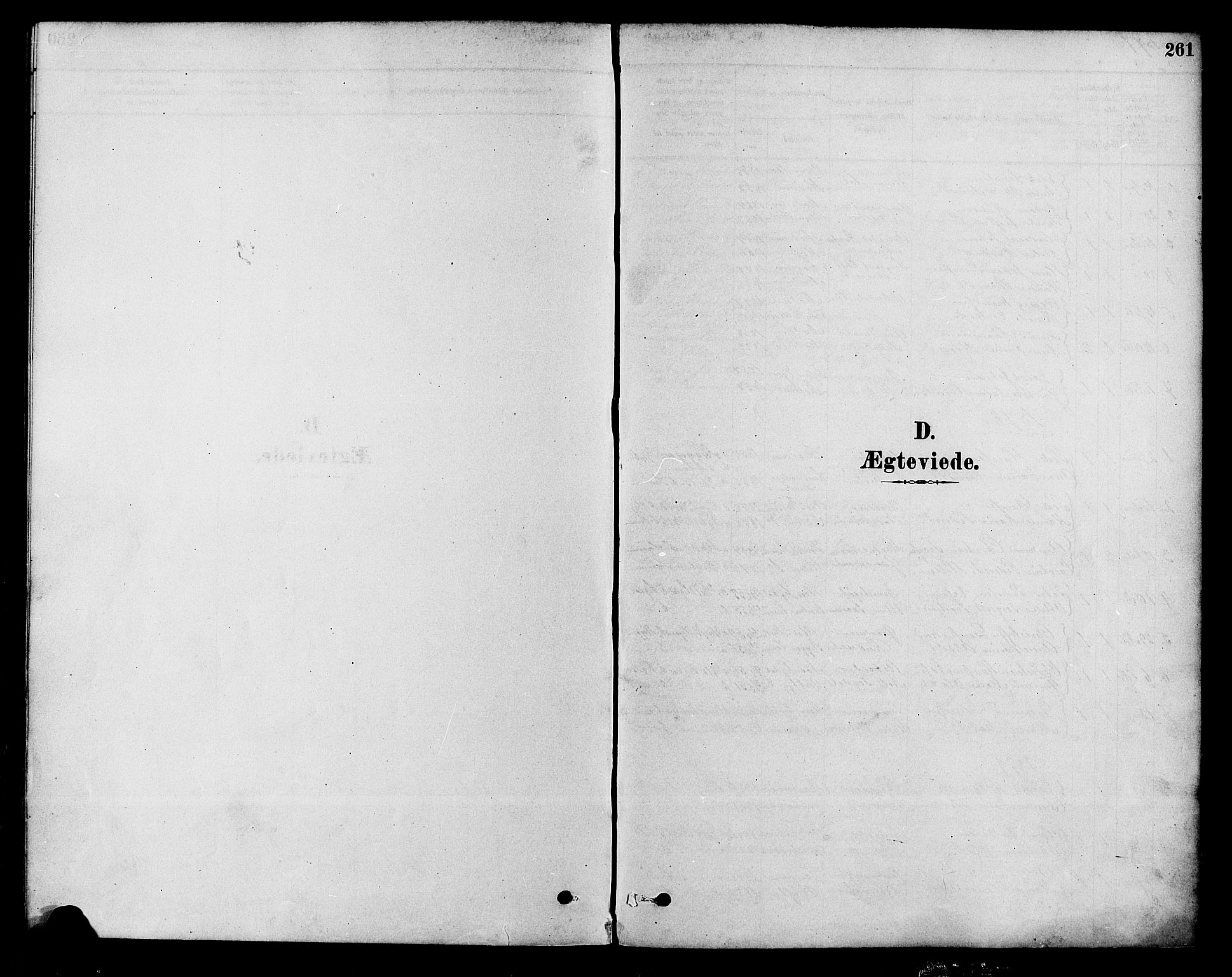 Modum kirkebøker, SAKO/A-234/F/Fa/L0015: Ministerialbok nr. 15 /2, 1877-1889, s. 261