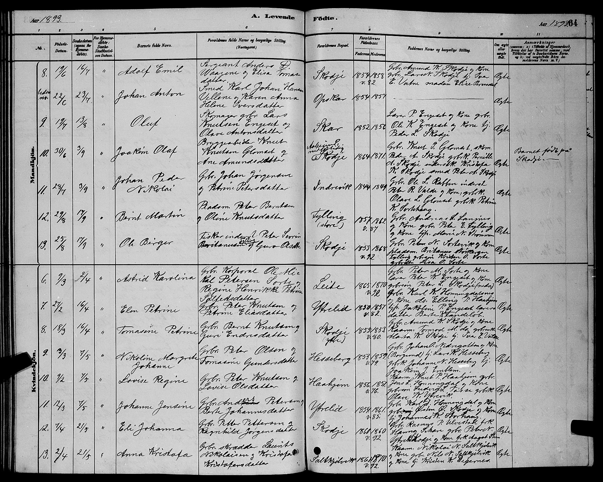 Ministerialprotokoller, klokkerbøker og fødselsregistre - Møre og Romsdal, AV/SAT-A-1454/524/L0365: Klokkerbok nr. 524C06, 1880-1899, s. 64