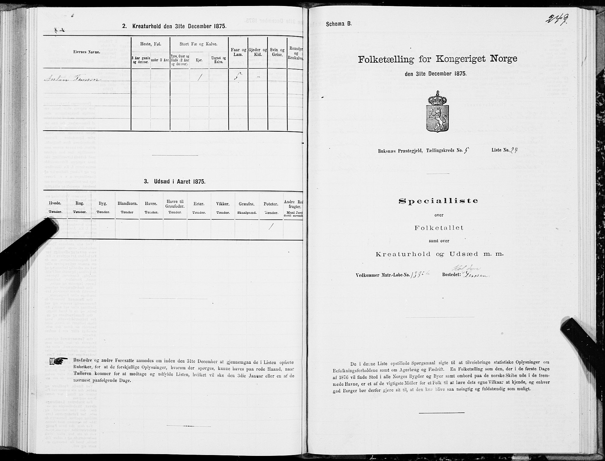 SAT, Folketelling 1875 for 1860P Buksnes prestegjeld, 1875, s. 2249