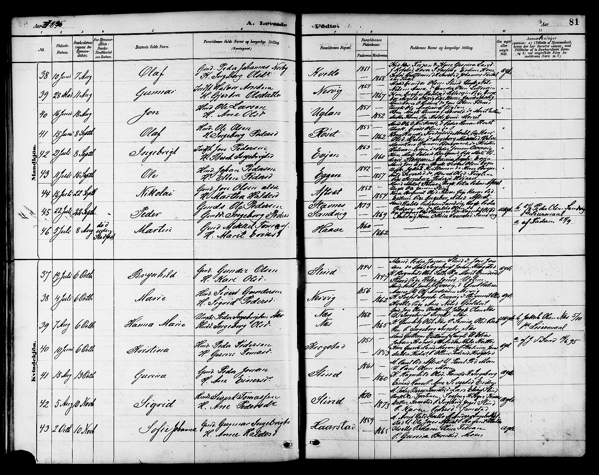 Ministerialprotokoller, klokkerbøker og fødselsregistre - Sør-Trøndelag, AV/SAT-A-1456/695/L1157: Klokkerbok nr. 695C08, 1889-1913, s. 81