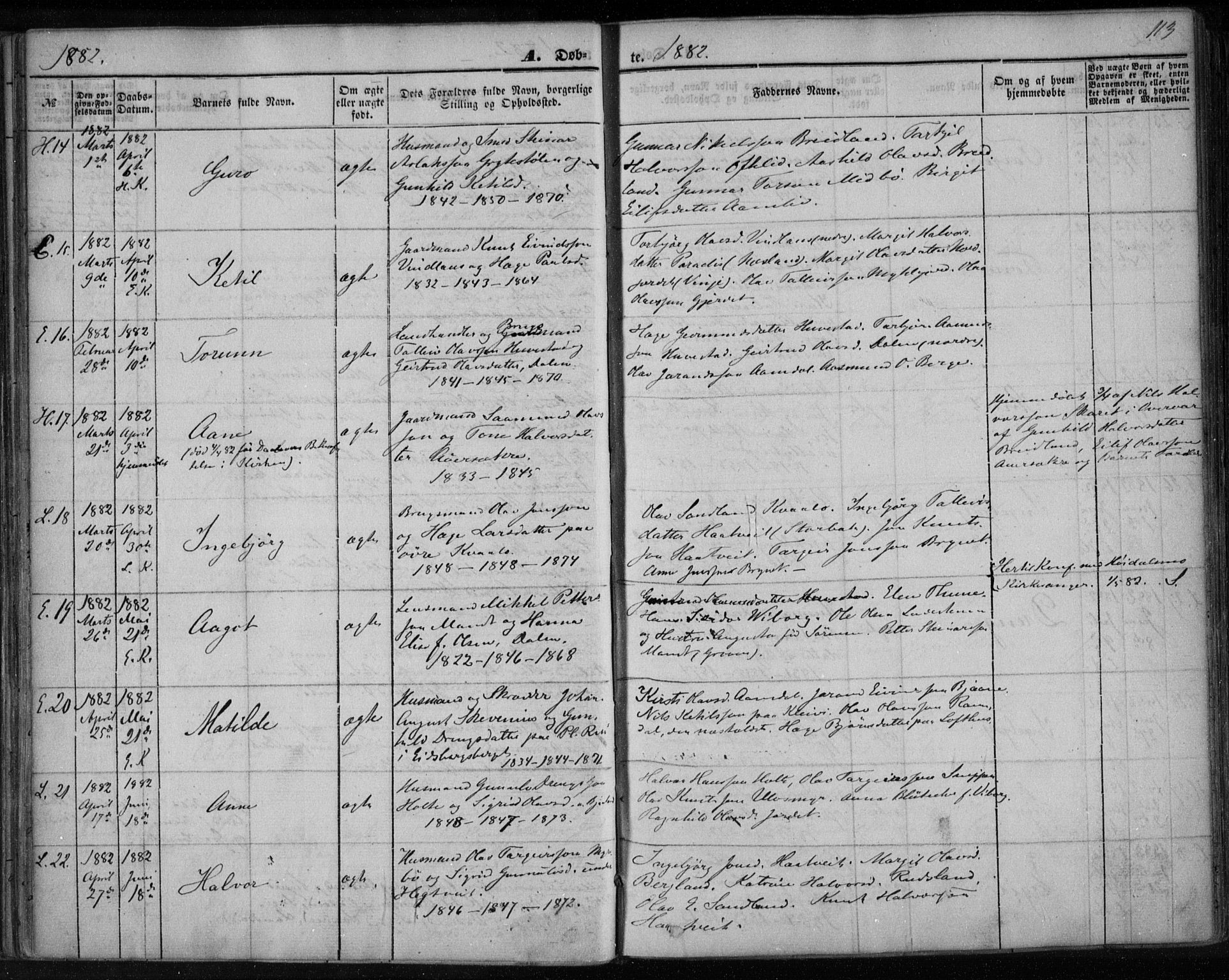 Lårdal kirkebøker, AV/SAKO-A-284/F/Fa/L0006: Ministerialbok nr. I 6, 1861-1886, s. 113