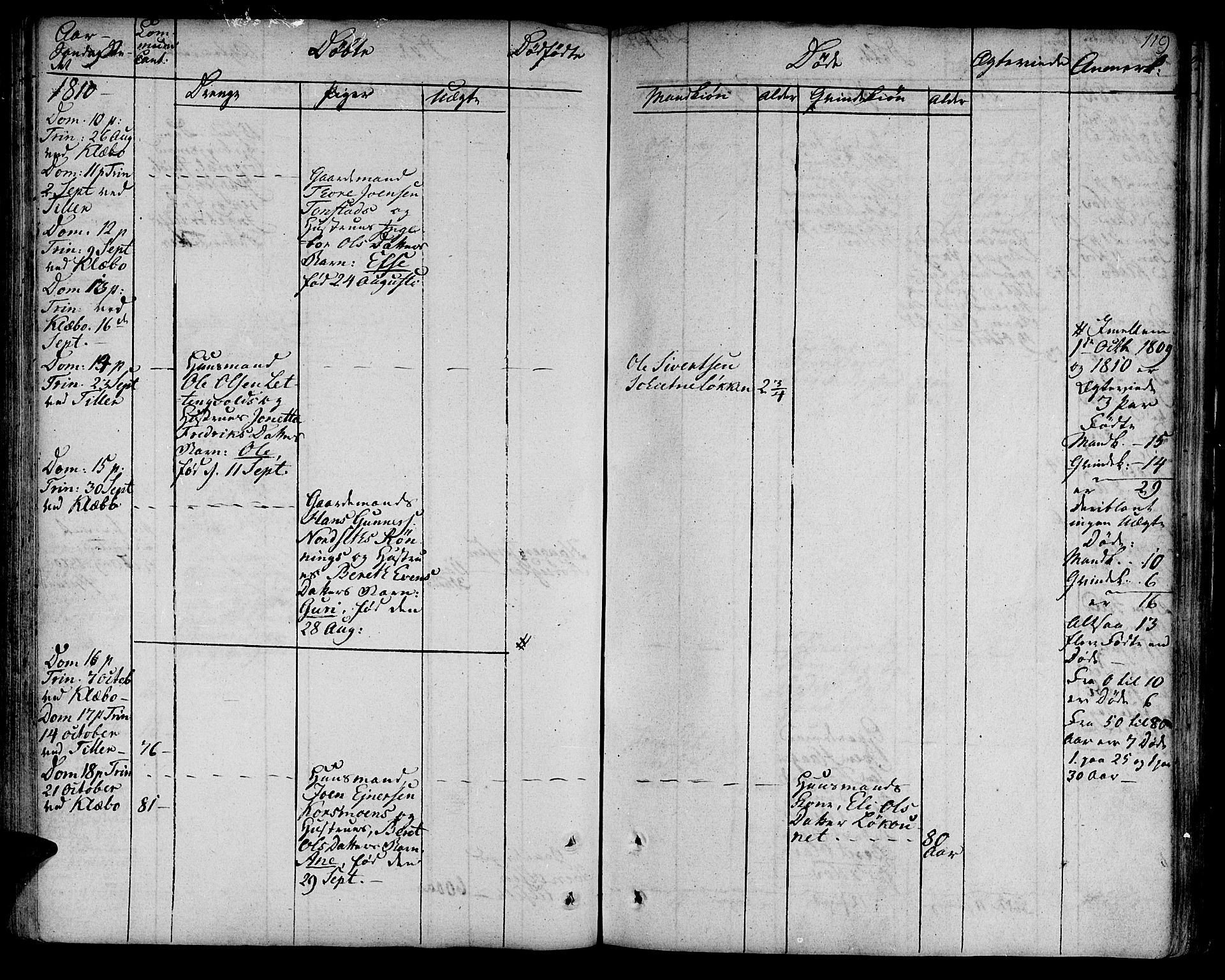 Ministerialprotokoller, klokkerbøker og fødselsregistre - Sør-Trøndelag, SAT/A-1456/618/L0438: Ministerialbok nr. 618A03, 1783-1815, s. 119