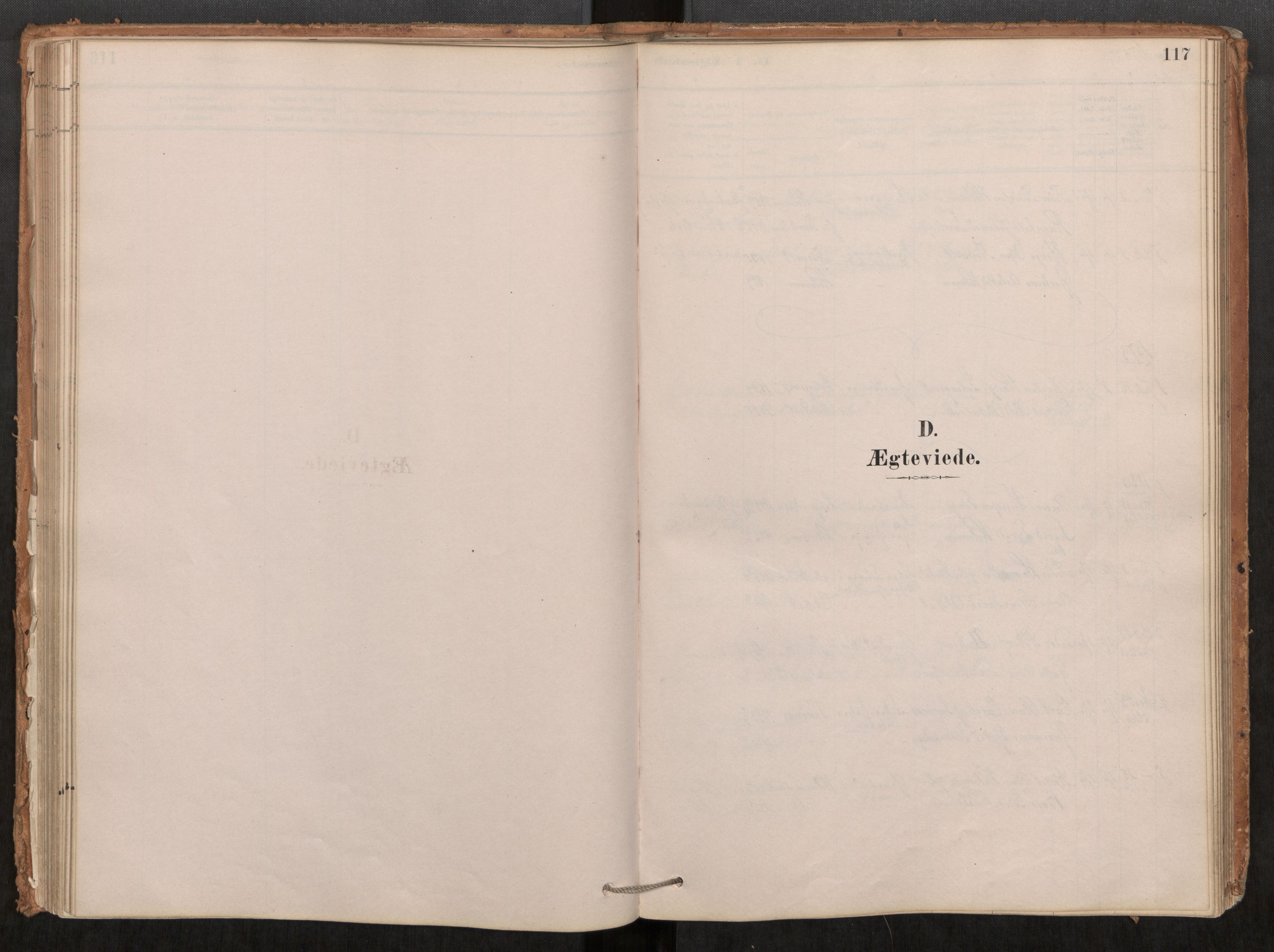 Ministerialprotokoller, klokkerbøker og fødselsregistre - Møre og Romsdal, AV/SAT-A-1454/548/L0615: Ministerialbok nr. 548A02, 1878-1906, s. 117