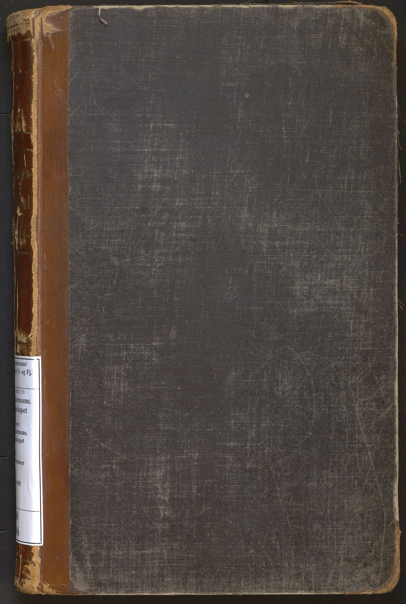 Sogndal kommune. Formannskapet, VLFK/K-14200.150/100/L0006: møtebok for kommunestyret og formannskapet i Sogndal kommune, 1896-1905