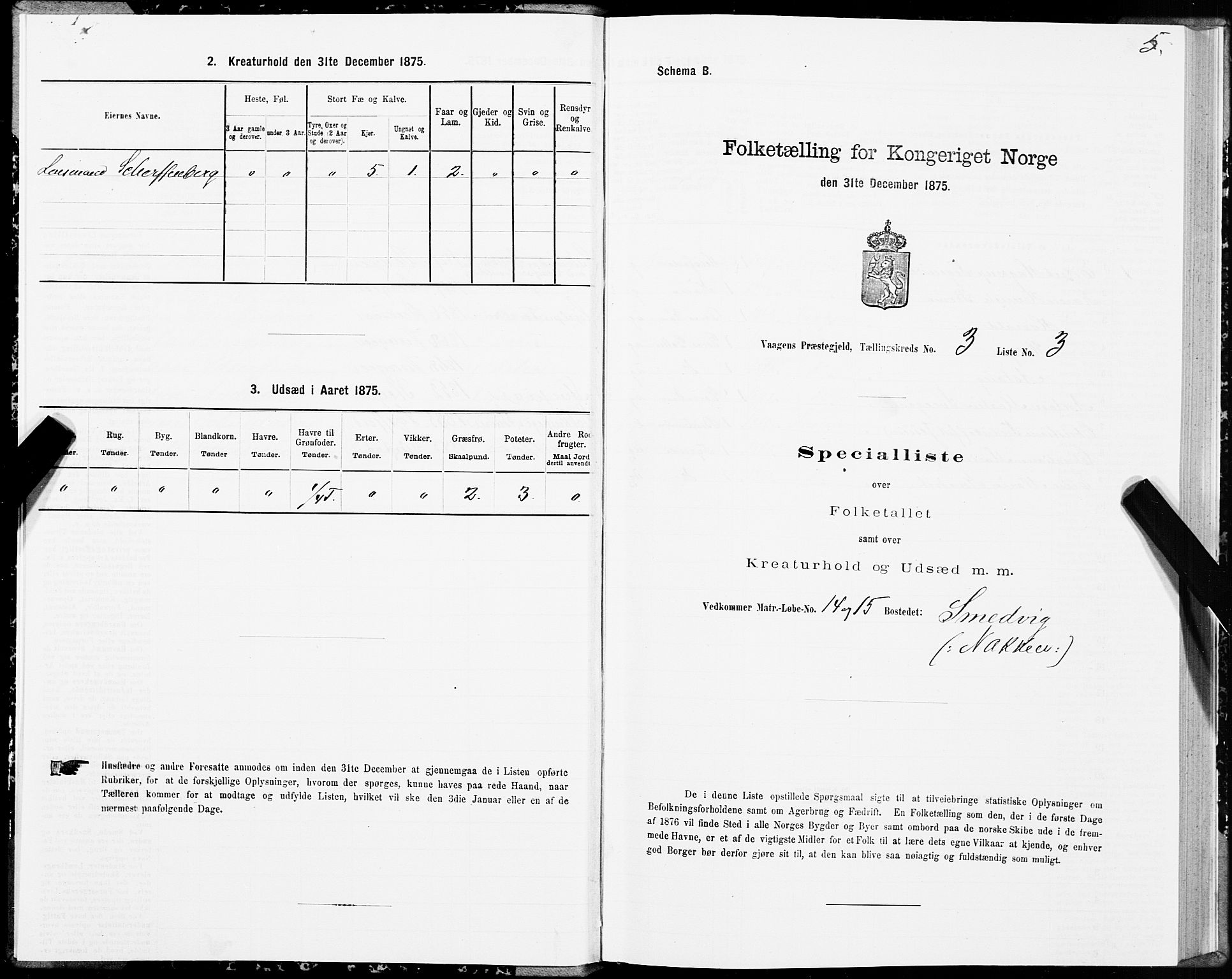 SAT, Folketelling 1875 for 1865P Vågan prestegjeld, 1875, s. 2005