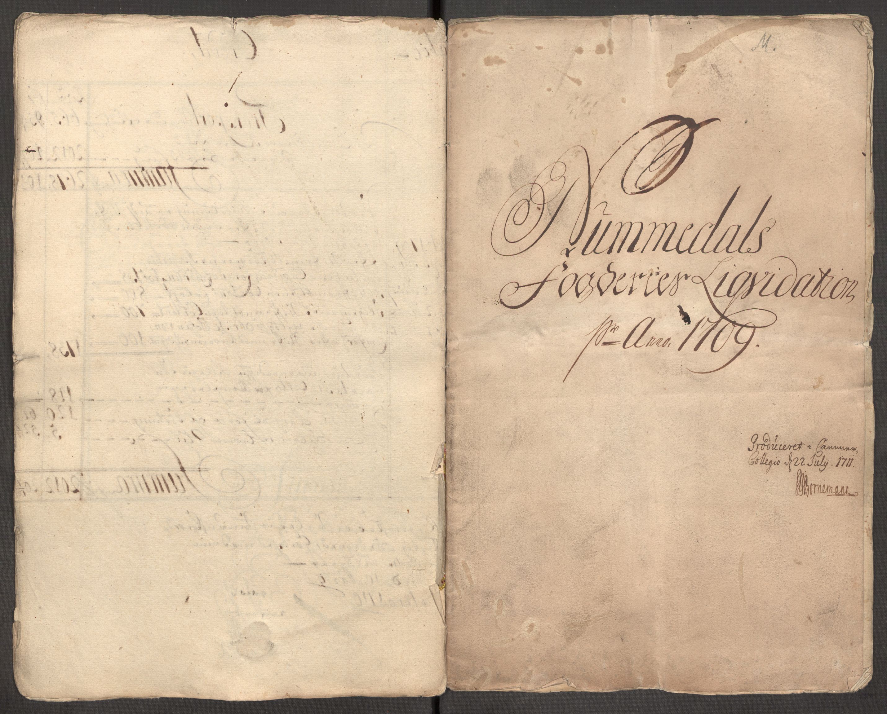 Rentekammeret inntil 1814, Reviderte regnskaper, Fogderegnskap, AV/RA-EA-4092/R64/L4431: Fogderegnskap Namdal, 1709-1710, s. 10