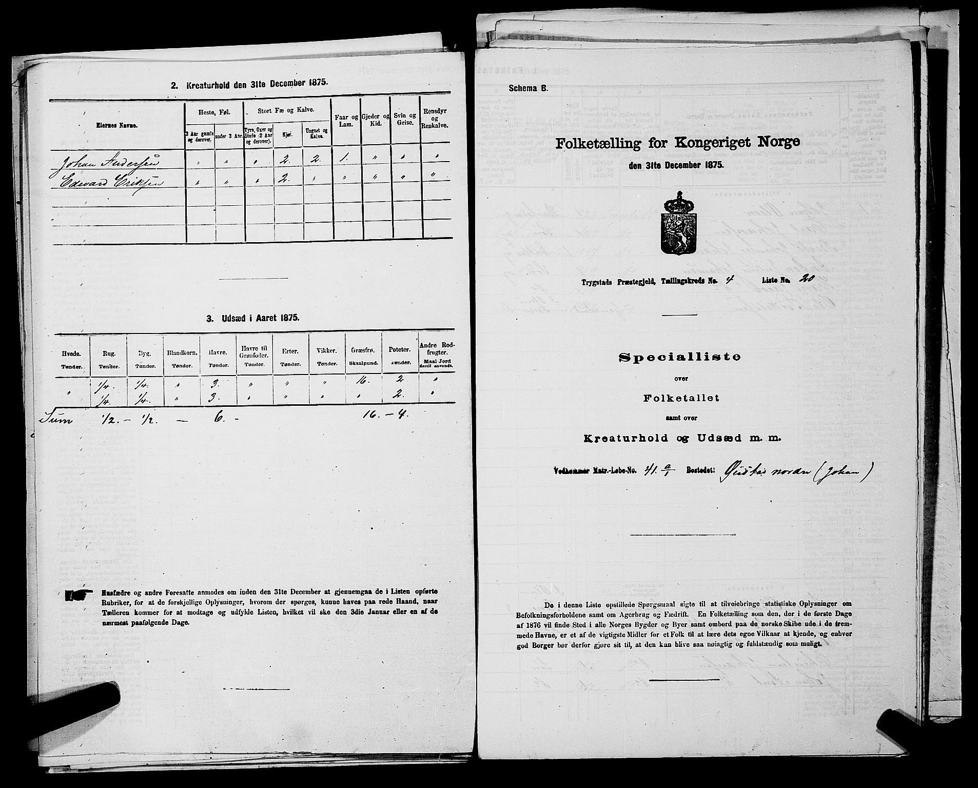 RA, Folketelling 1875 for 0122P Trøgstad prestegjeld, 1875, s. 411