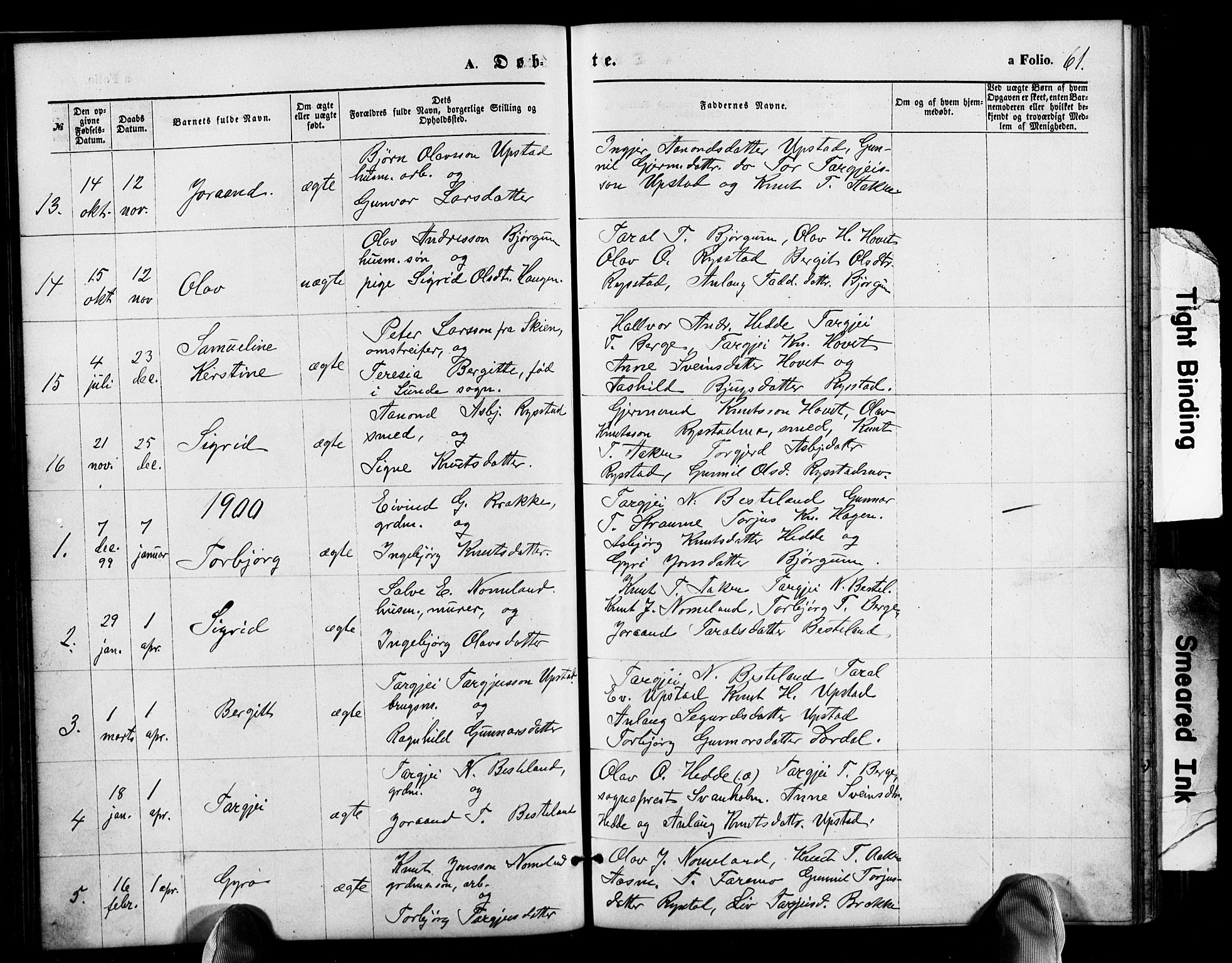 Valle sokneprestkontor, AV/SAK-1111-0044/F/Fb/Fbb/L0002: Klokkerbok nr. B 2, 1875-1921, s. 61