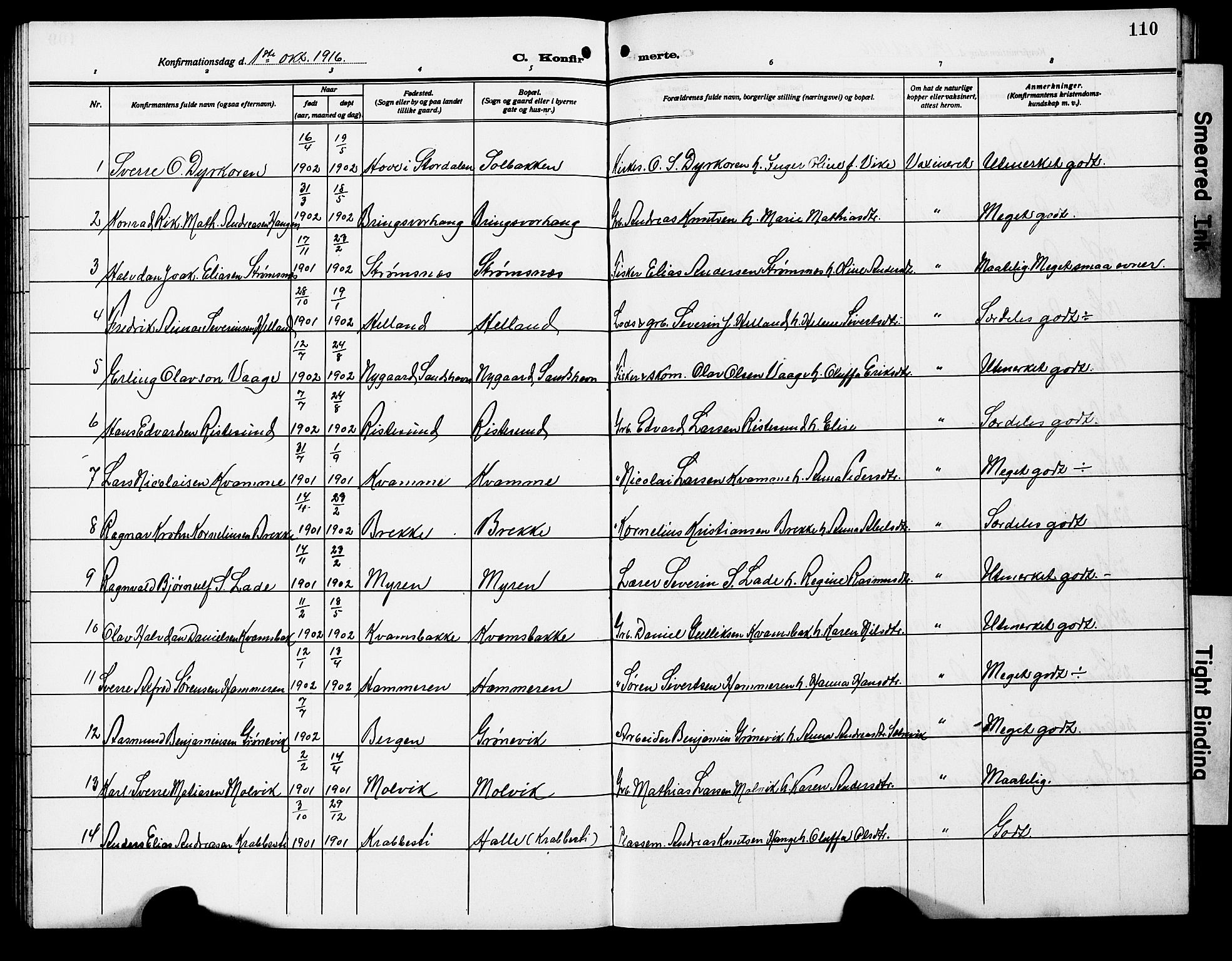 Ministerialprotokoller, klokkerbøker og fødselsregistre - Møre og Romsdal, AV/SAT-A-1454/503/L0050: Klokkerbok nr. 503C05, 1909-1922, s. 110