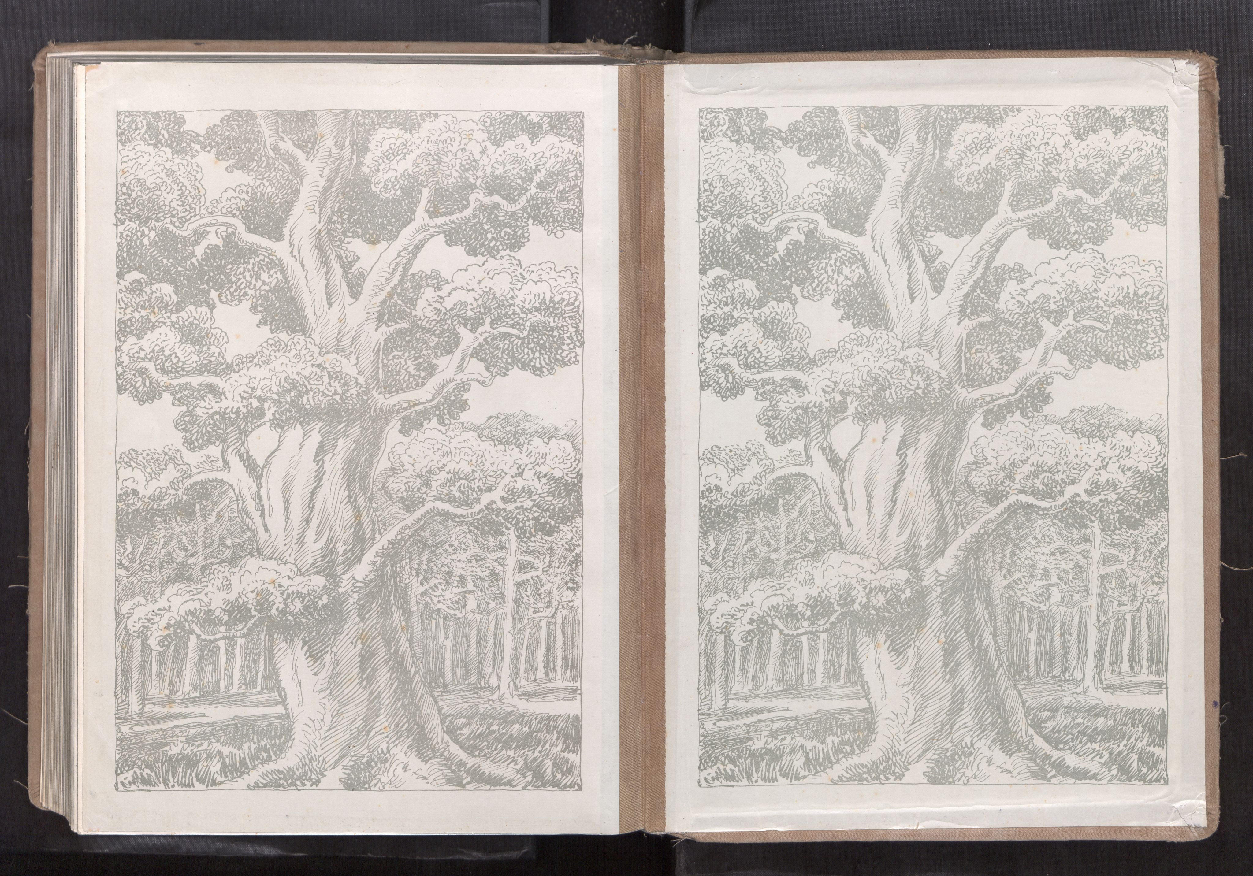 Ministerialprotokoller, klokkerbøker og fødselsregistre - Sør-Trøndelag, AV/SAT-A-1456/651/L0651: Fødselsregister nr. 651---, 1924-1981