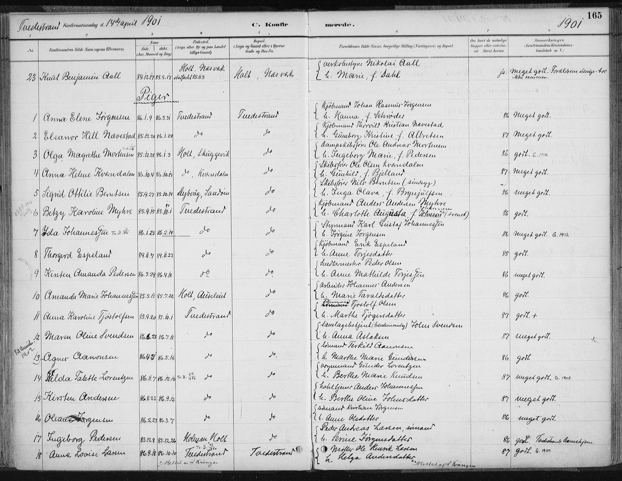 Tvedestrand sokneprestkontor, AV/SAK-1111-0042/F/Fa/L0001: Ministerialbok nr. A 1, 1885-1916, s. 165