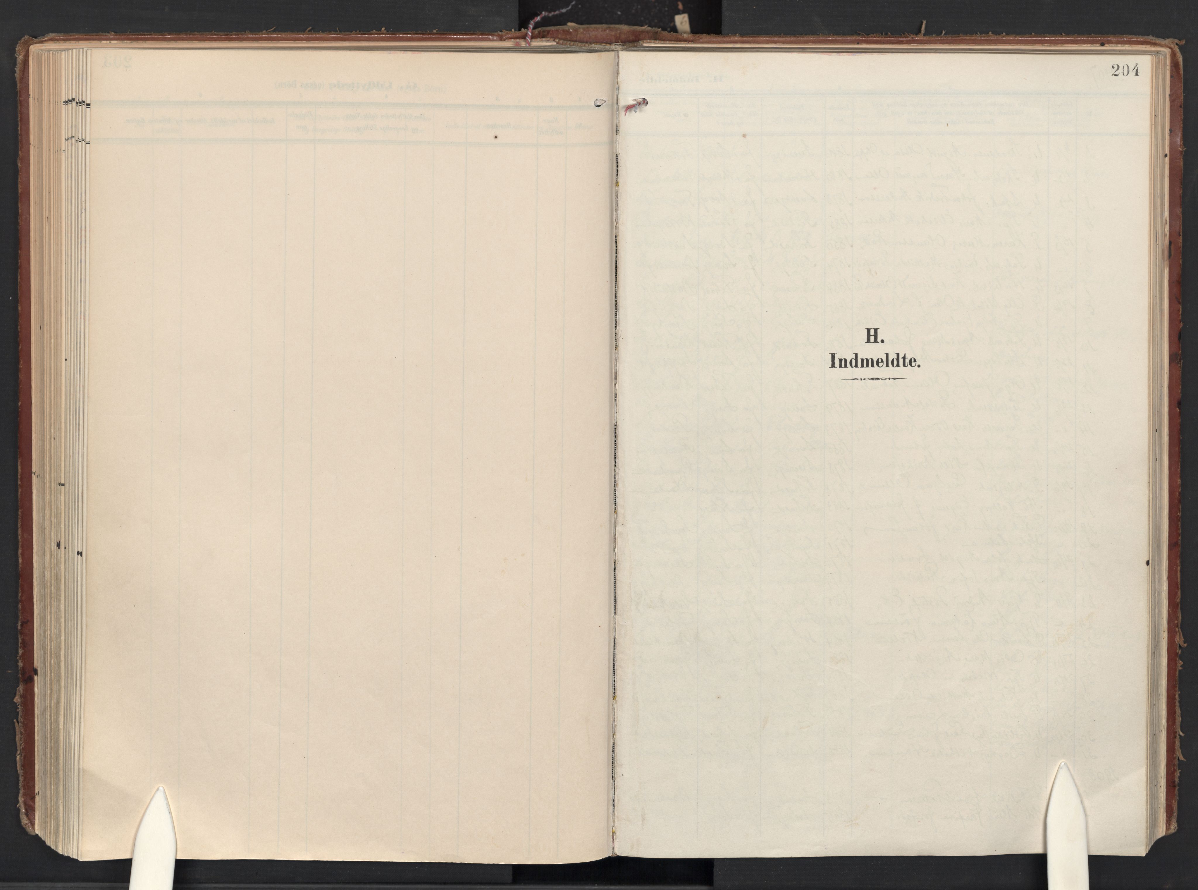 Halden prestekontor Kirkebøker, SAO/A-10909/F/Fa/L0016: Ministerialbok nr. I 16, 1907-1925, s. 204